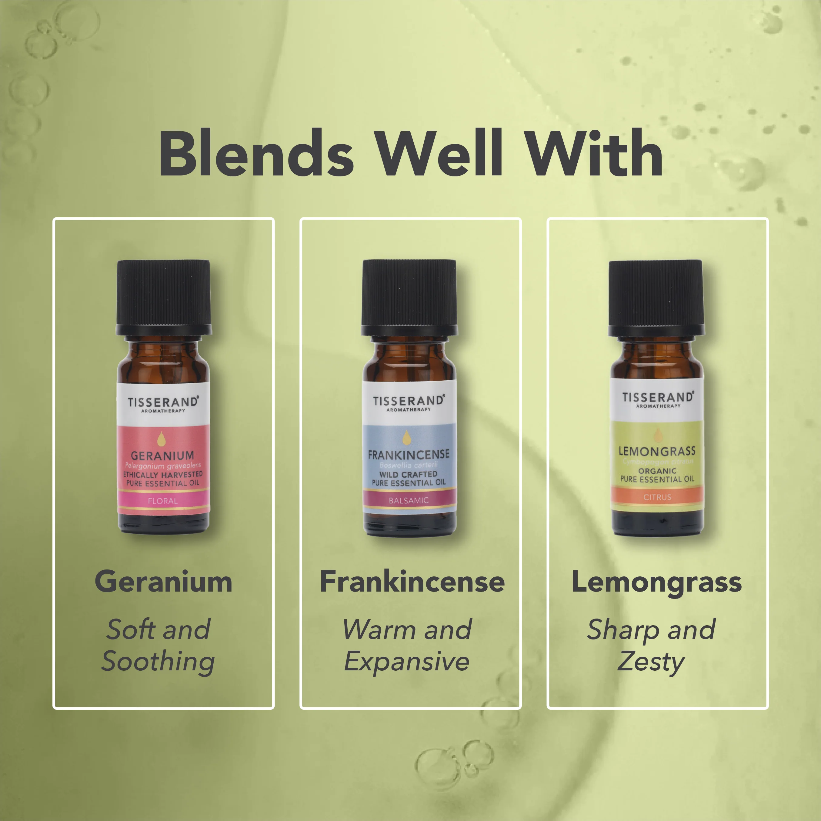 Bergamot Essential Oil - Image 5