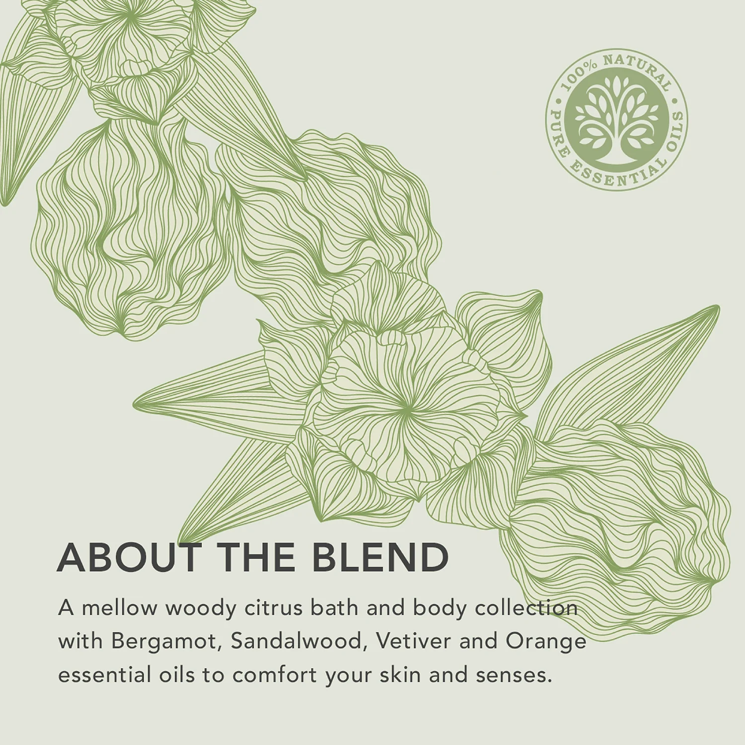 Bergamot & Sandalwood Comforting Hand Wash - Image 2