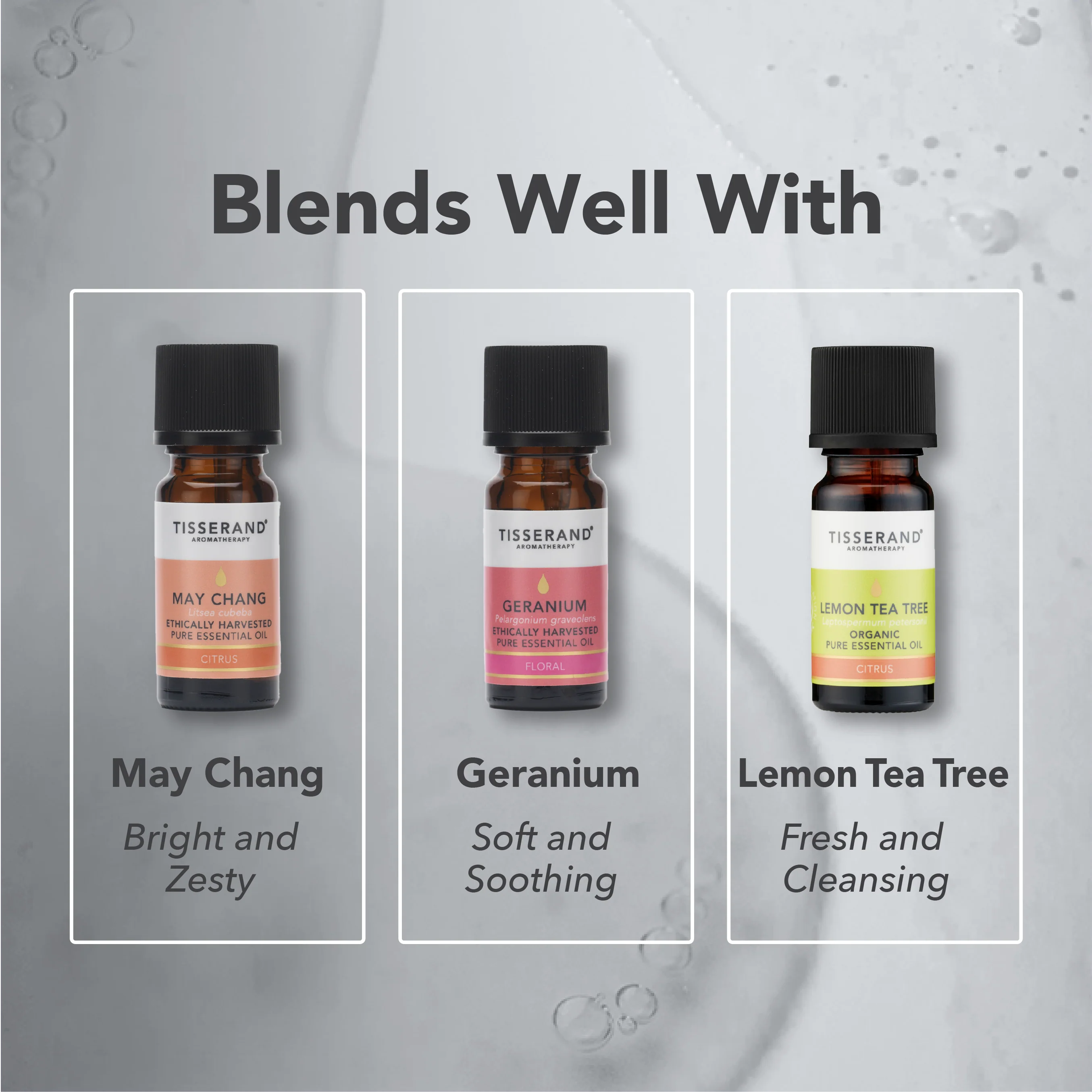 Black Pepper Essential Oil - Image 4