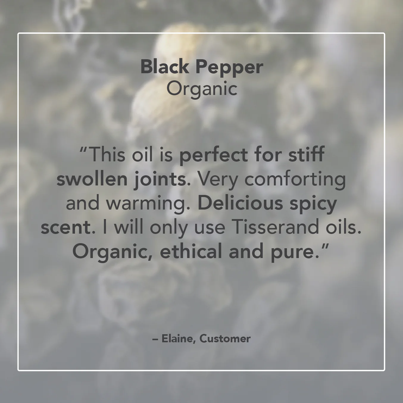 Black Pepper Essential Oil - Image 6