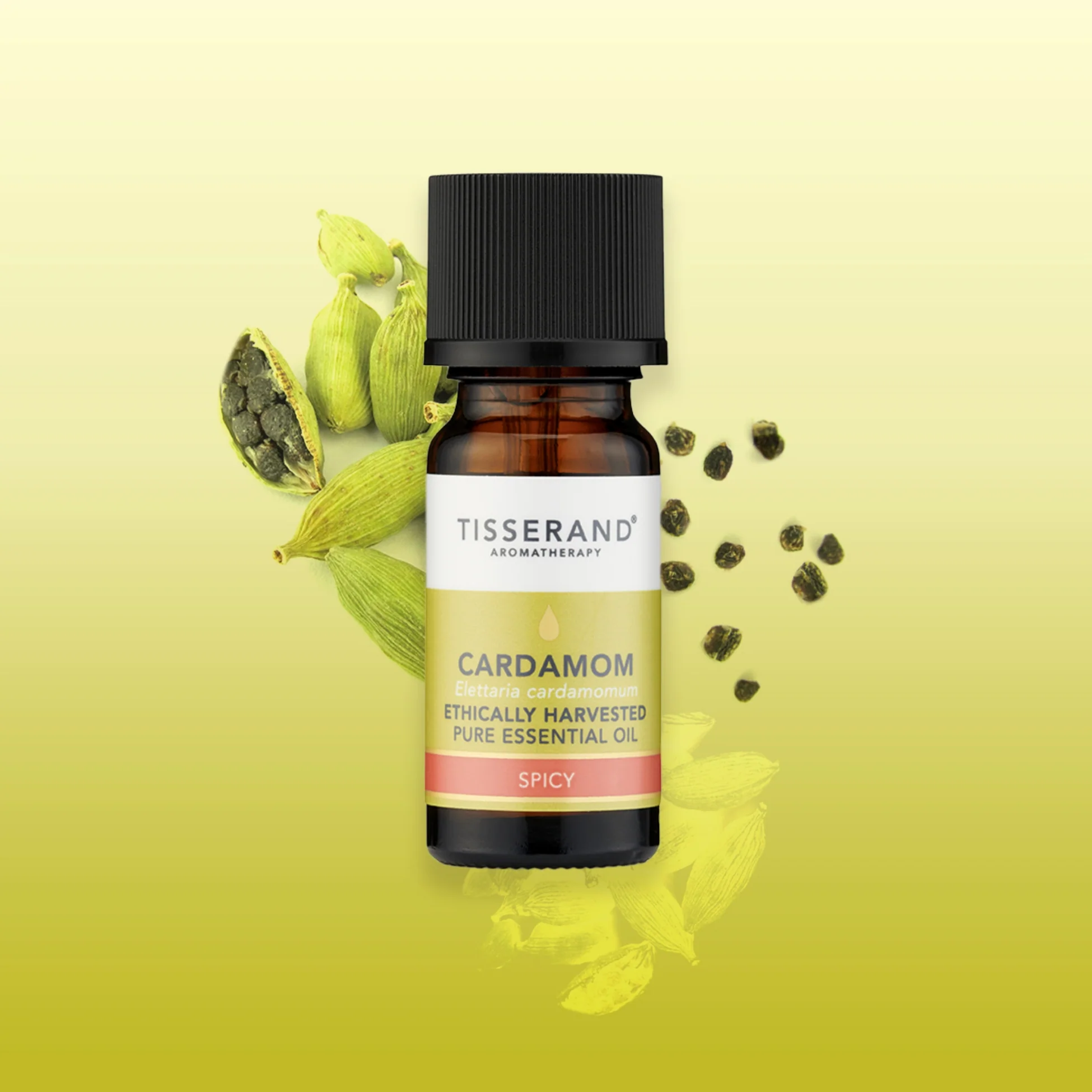 Cardamom Essential Oil - Image 2