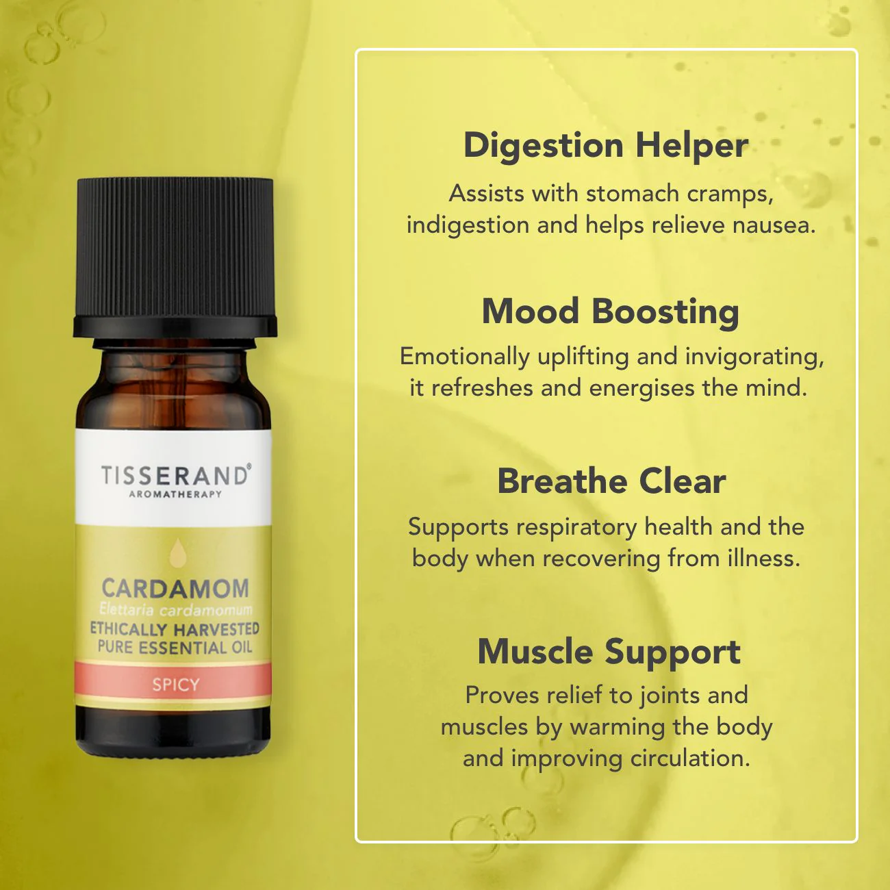 Cardamom Essential Oil - Image 3