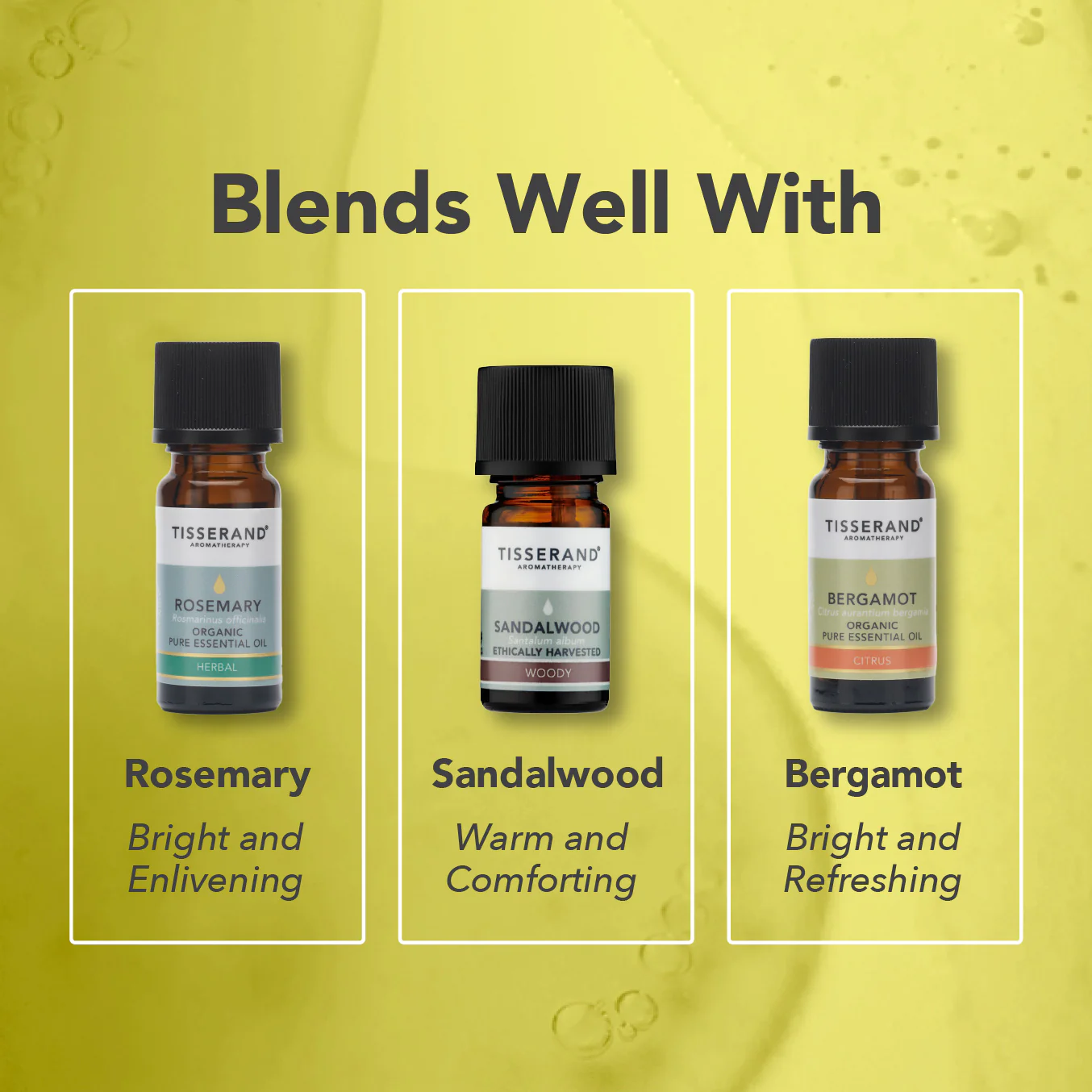 Cardamom Essential Oil - Image 4