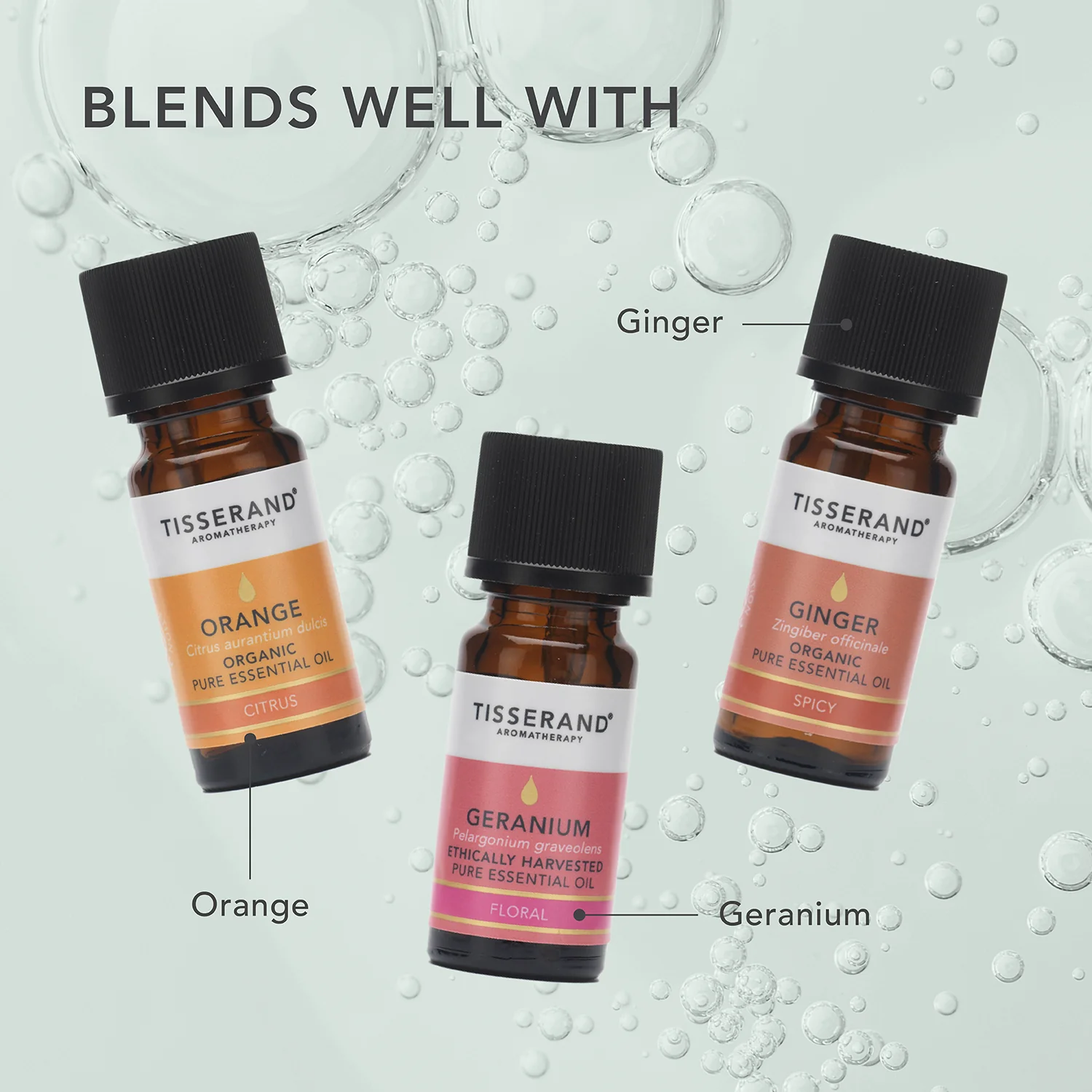 Cedarwood Atlas Essential Oil - Image 3