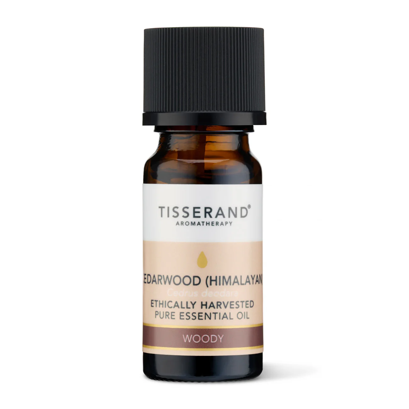 Cedarwood Himalayan Ethically Harvested