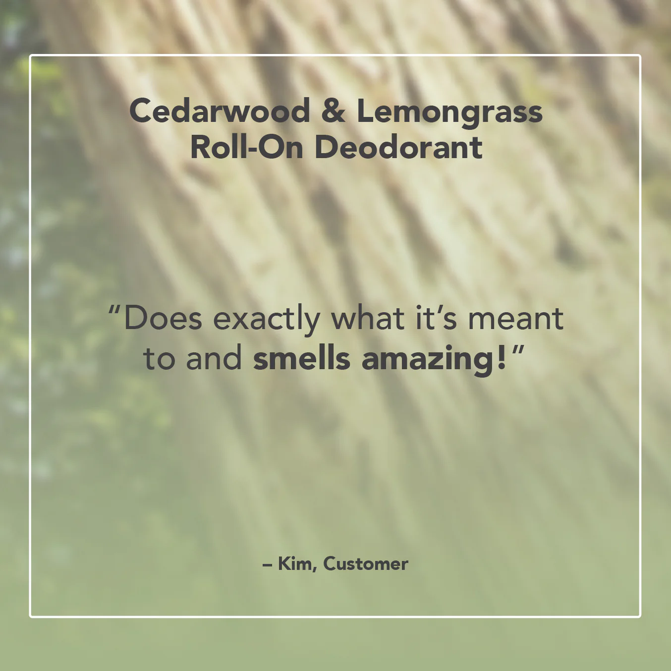 Cedarwood & Lemongrass Roll-On Deodorant - Image 4