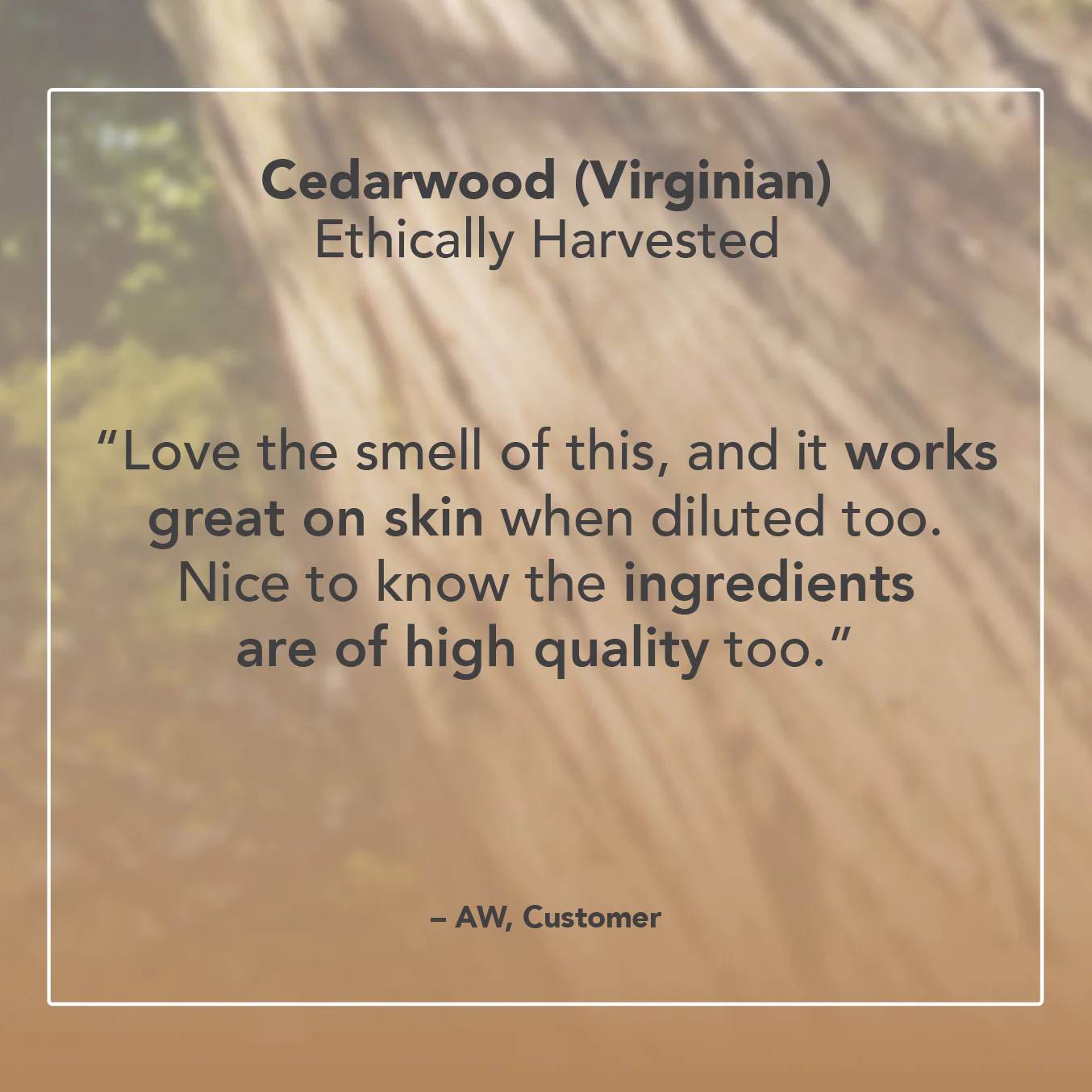 Cedarwood (Virginian) Essential Oil - Image 5