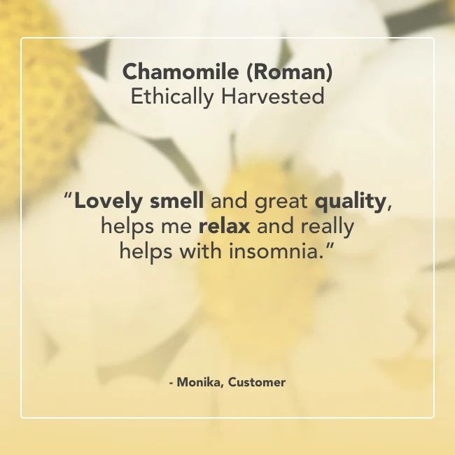 Chamomile Roman Essential Oil - Image 5