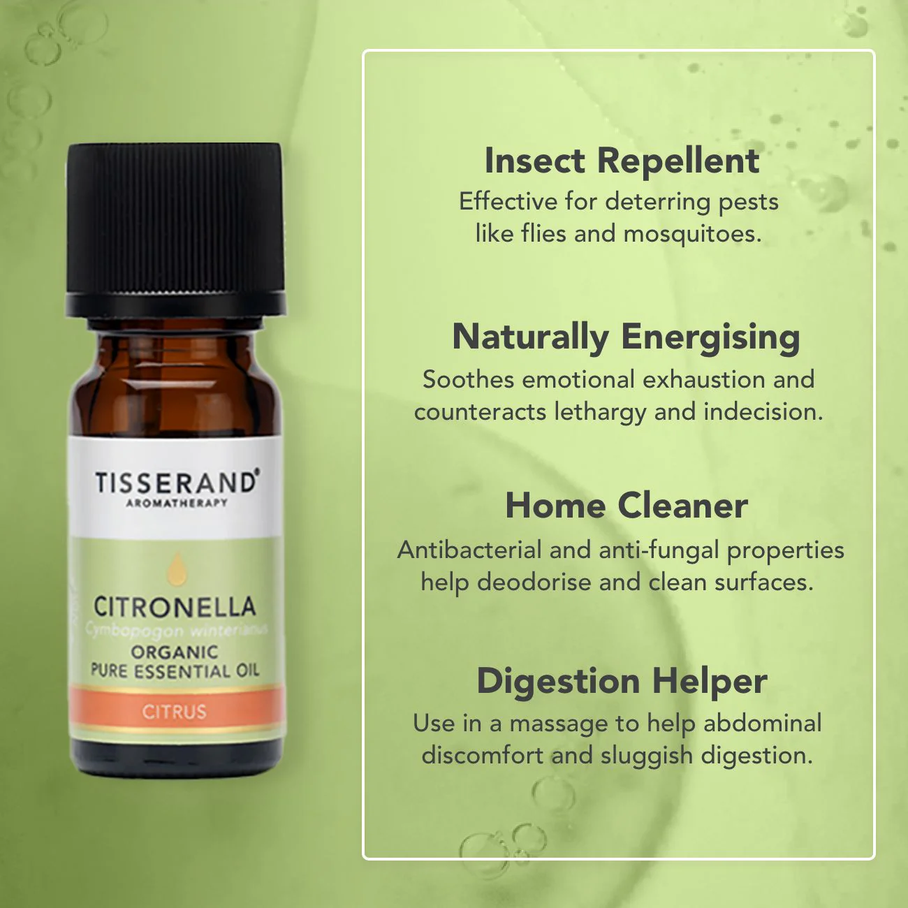Citronella Essential Oil - Image 3
