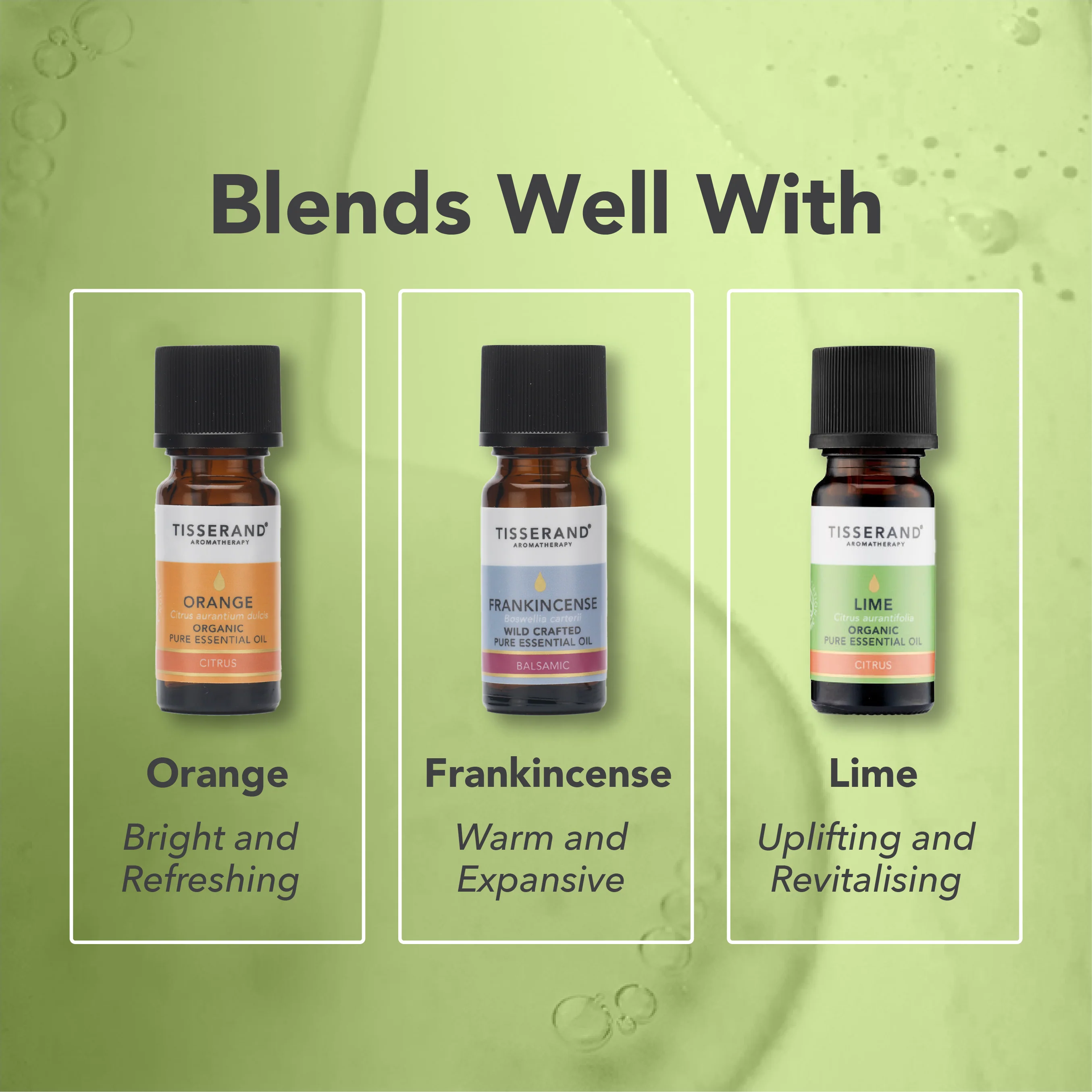 Citronella Essential Oil - Image 4