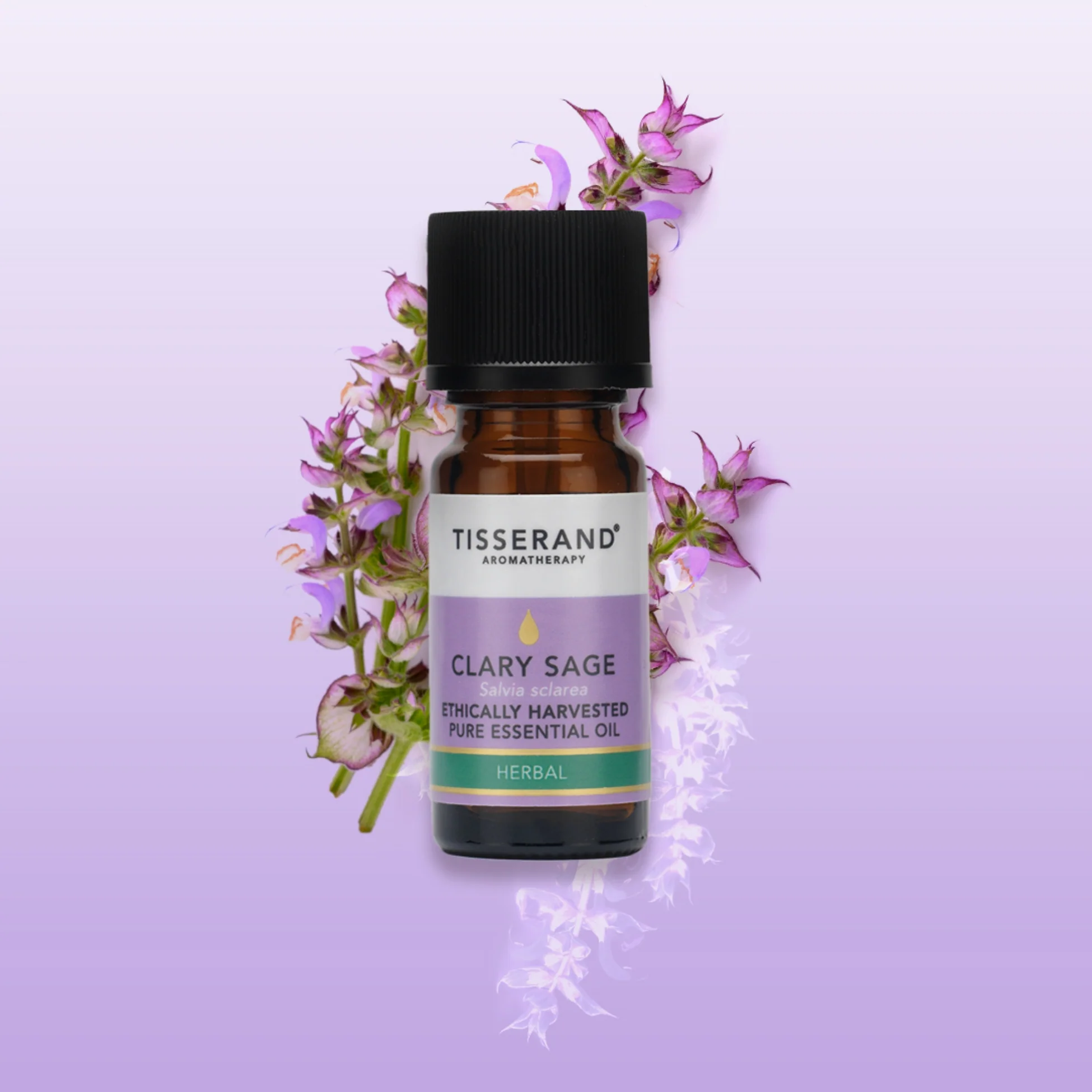 Clary Sage Essential Oil - Image 2