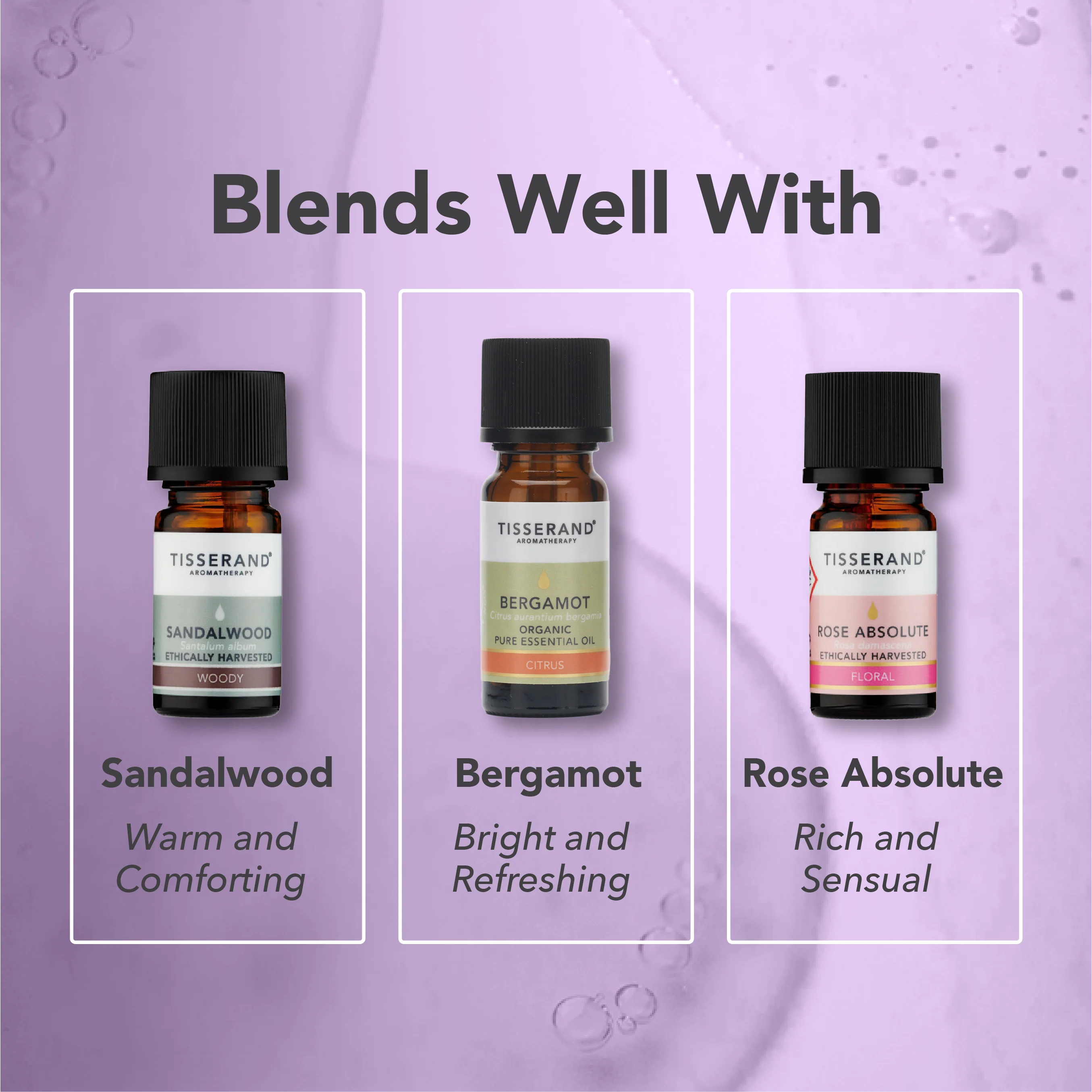 Clary Sage Essential Oil - Image 4