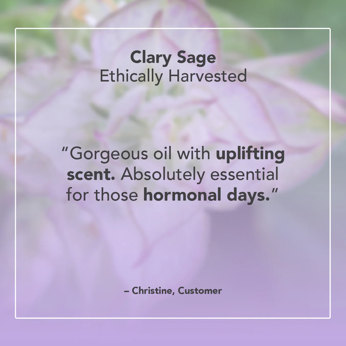 Clary Sage Essential Oil - Image 5