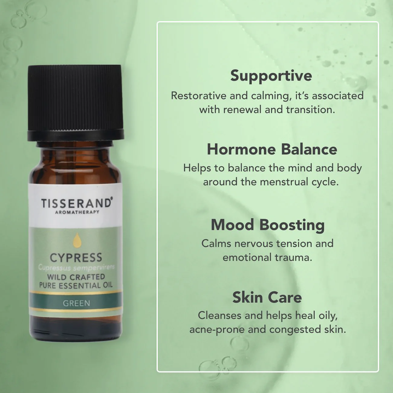 Cypress Essential Oil - Image 3