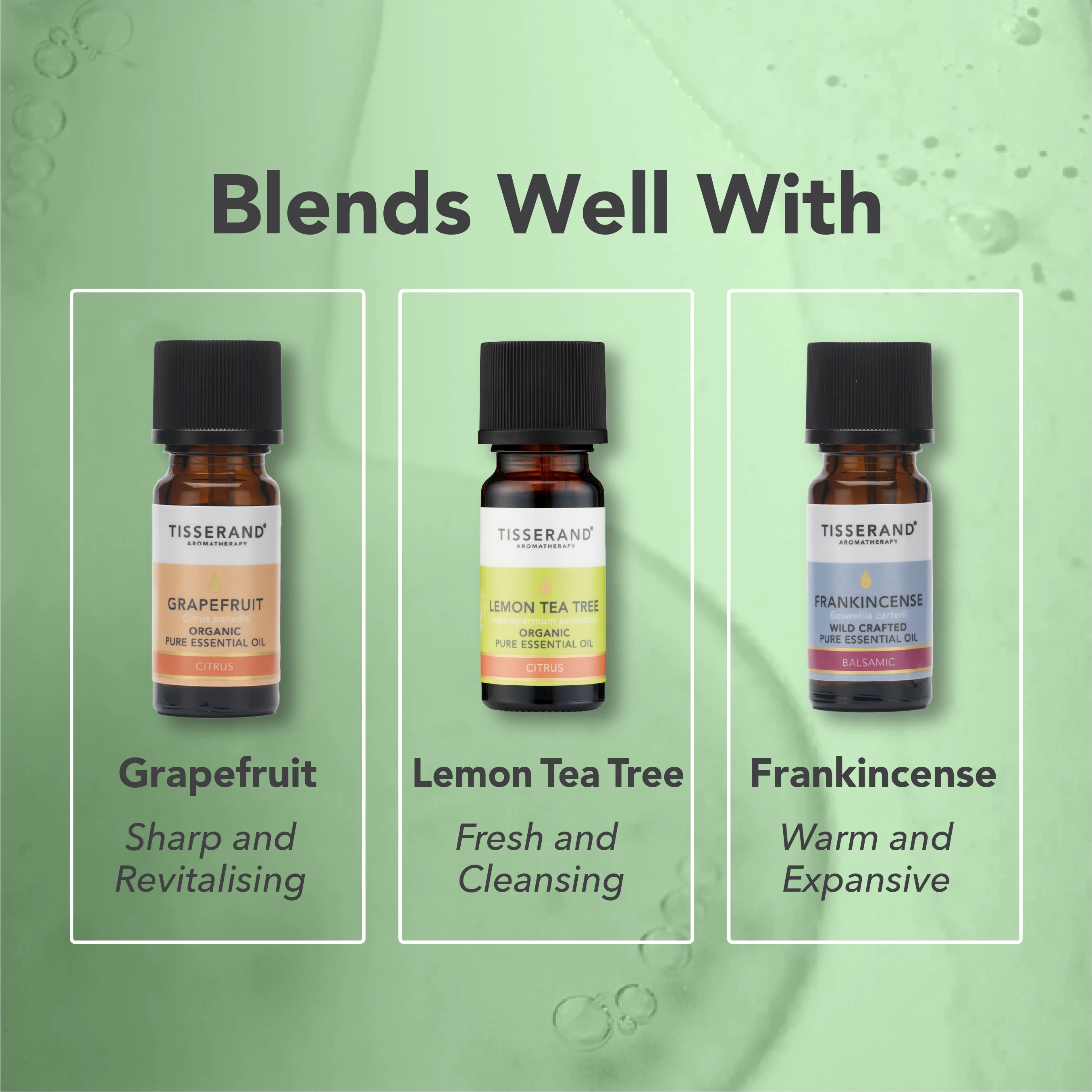 Cypress Essential Oil - Image 4