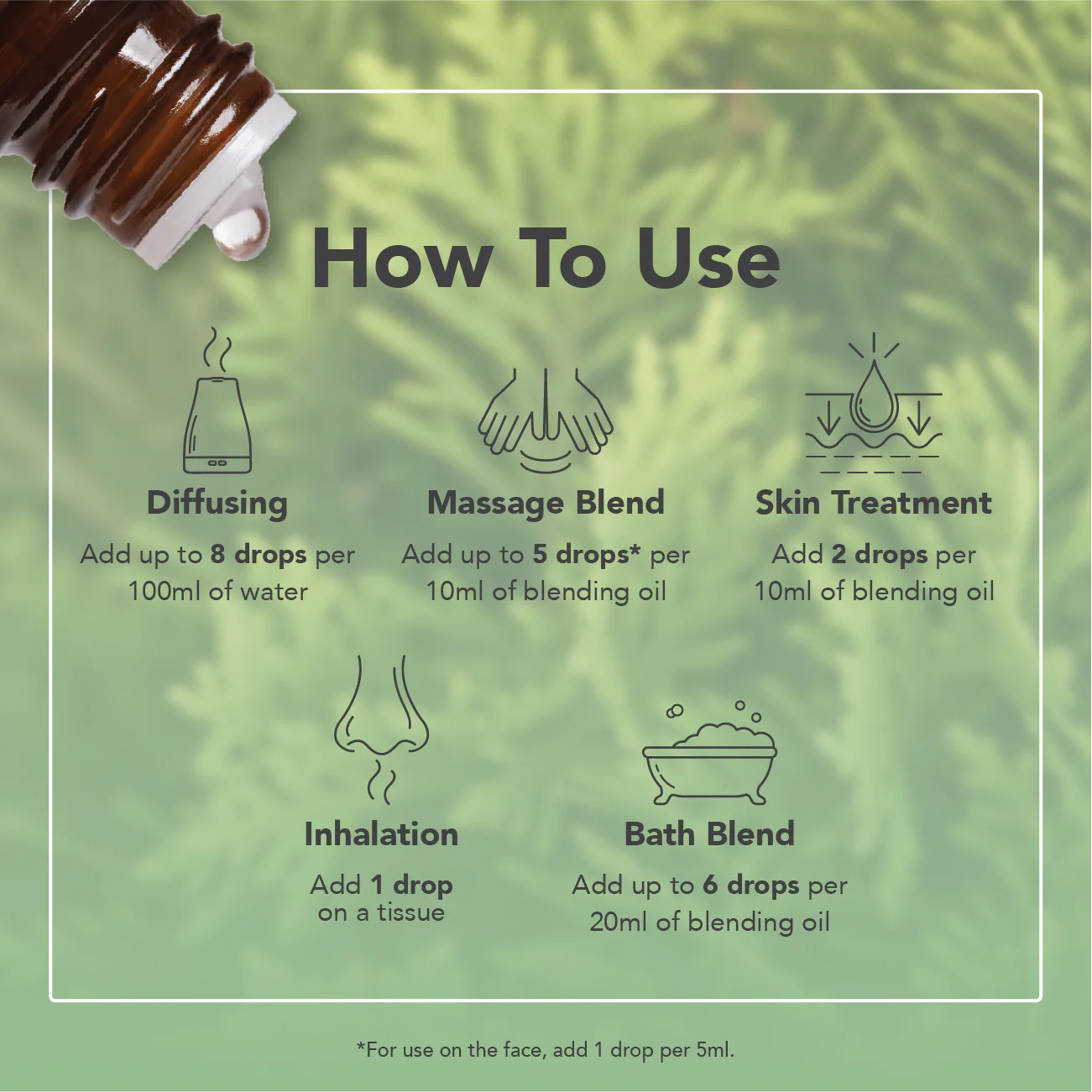 Cypress Essential Oil - Image 6
