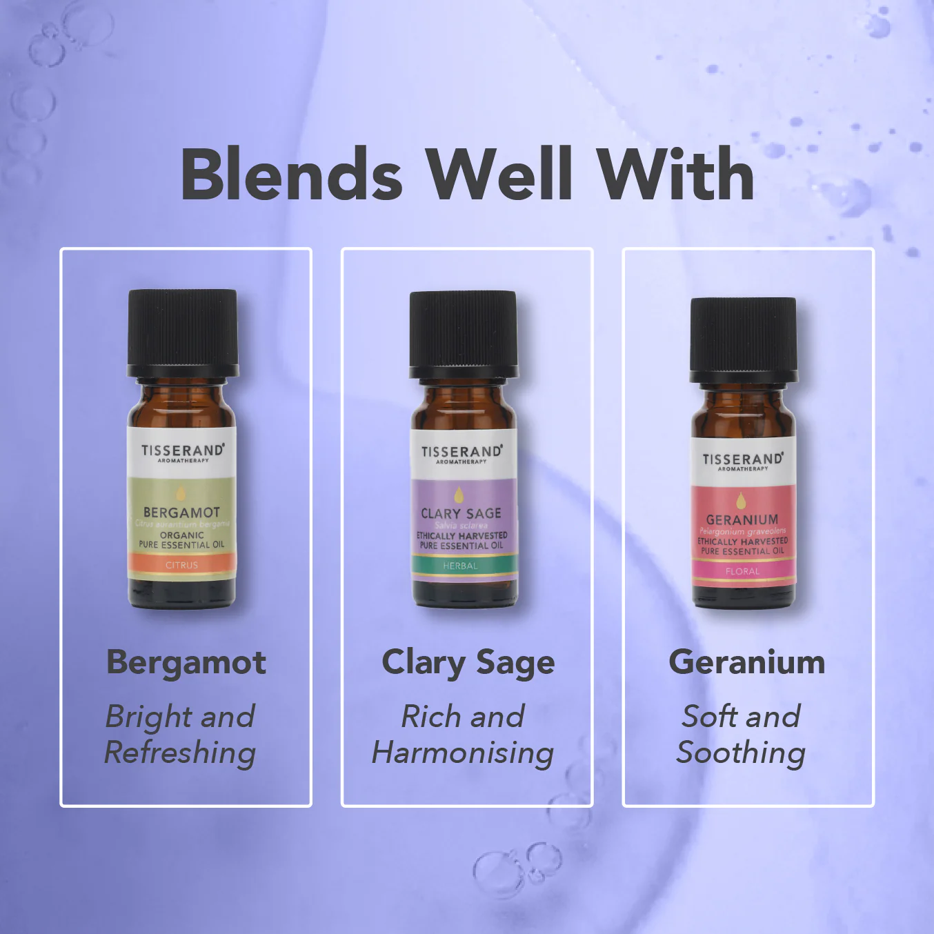 English Lavender Essential Oil - Image 4