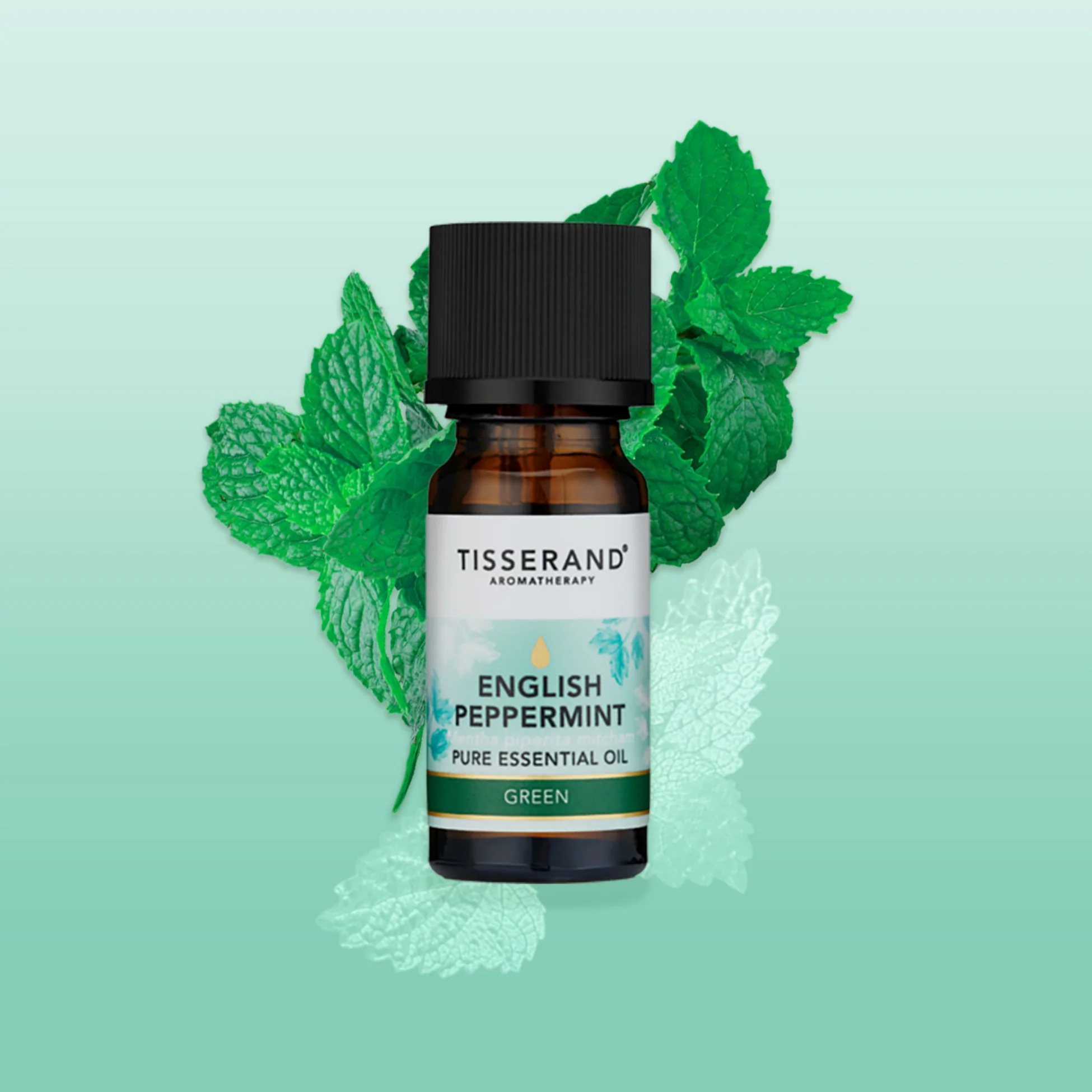 English Peppermint Essential Oil - Image 2