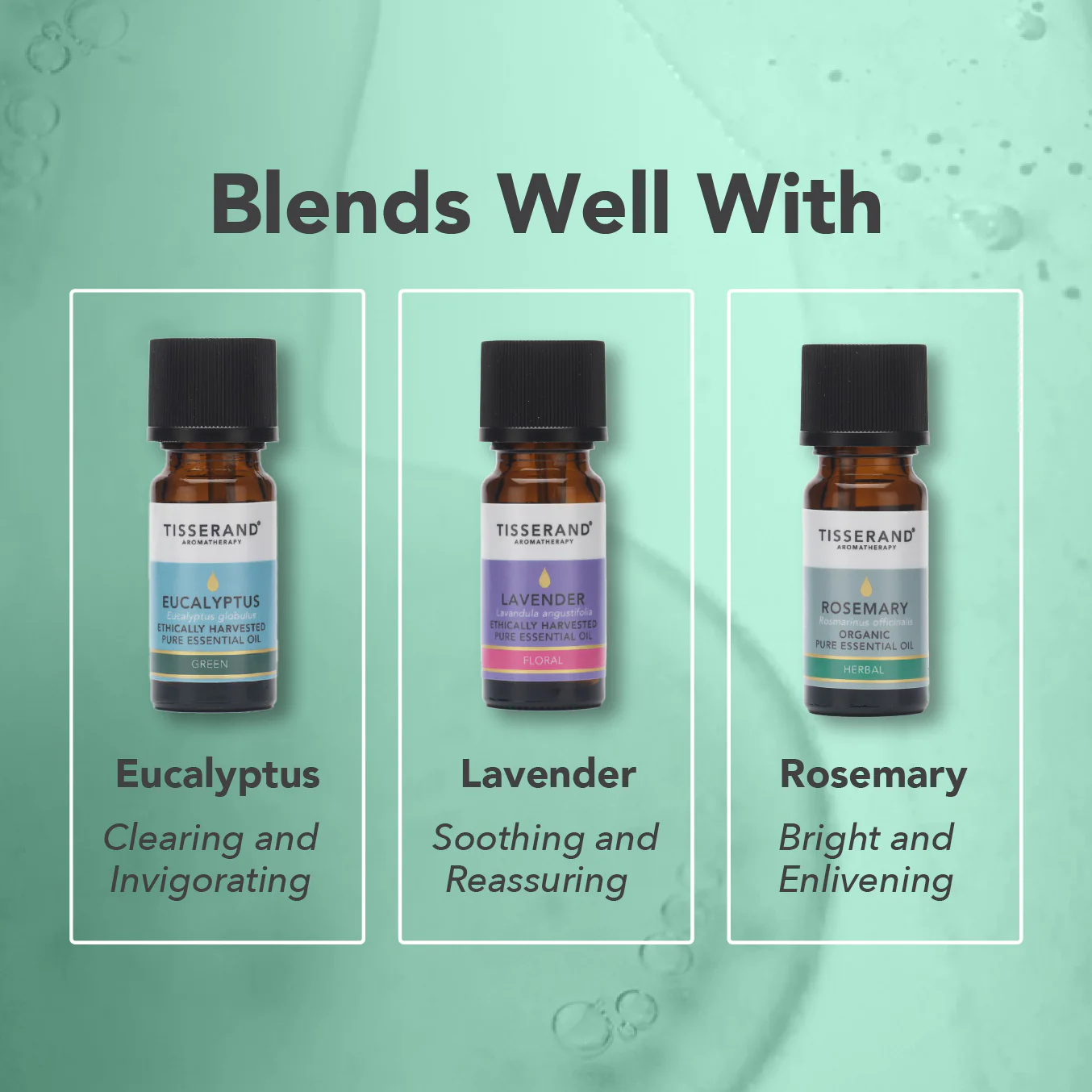 English Peppermint Essential Oil - Image 4