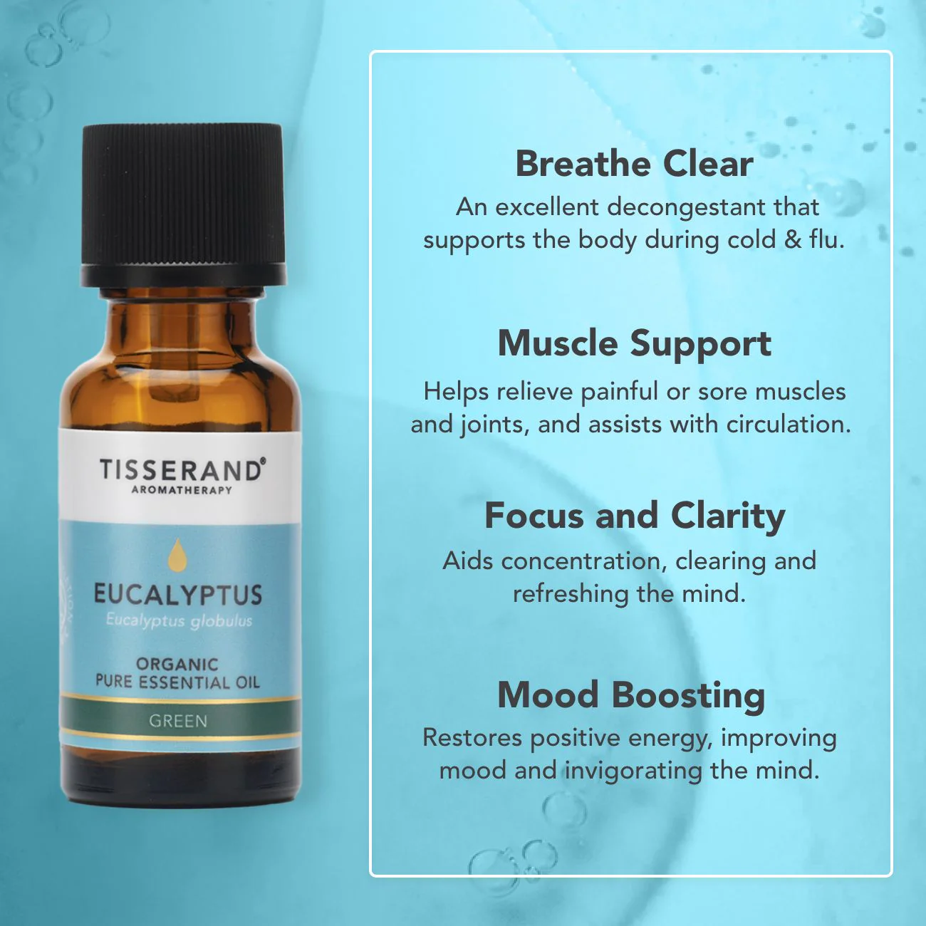 Eucalyptus Organic Essential Oil - Image 10