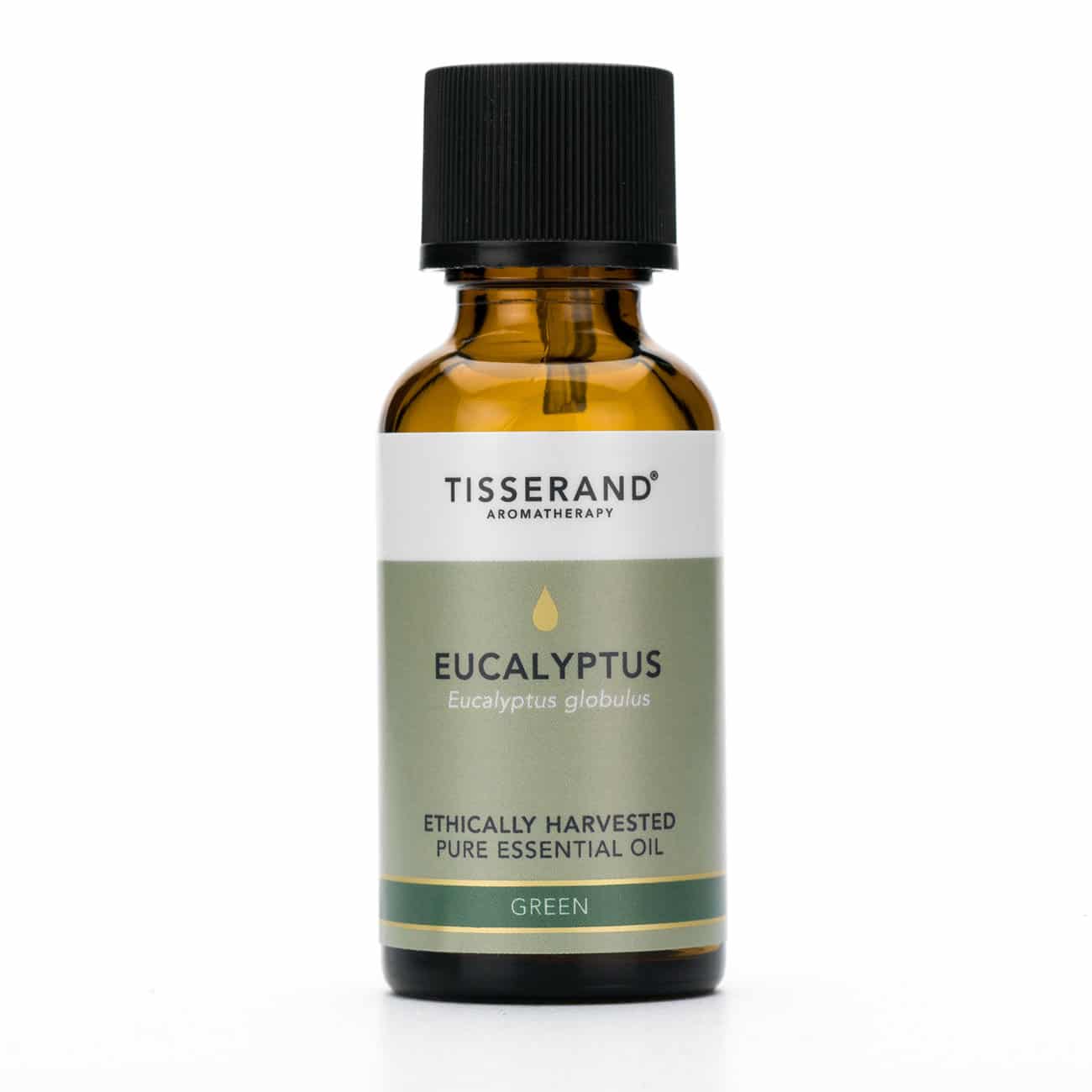 Eucalyptus Organic Essential Oil - Image 11