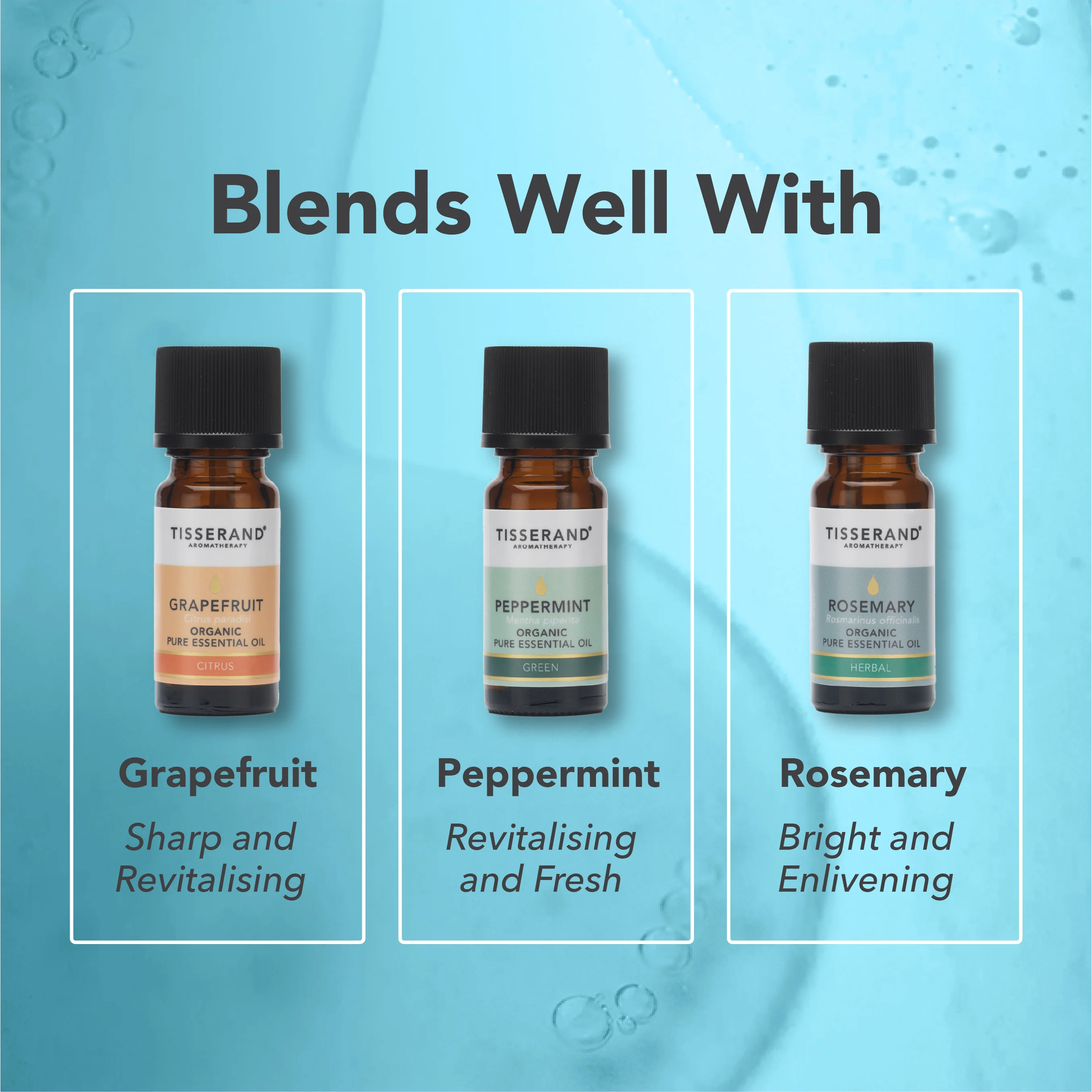 Eucalyptus Organic Essential Oil - Image 3