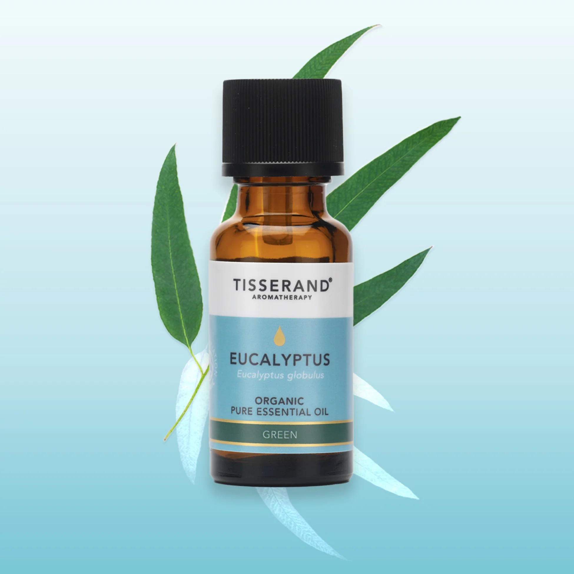 Eucalyptus Organic Essential Oil - Image 9