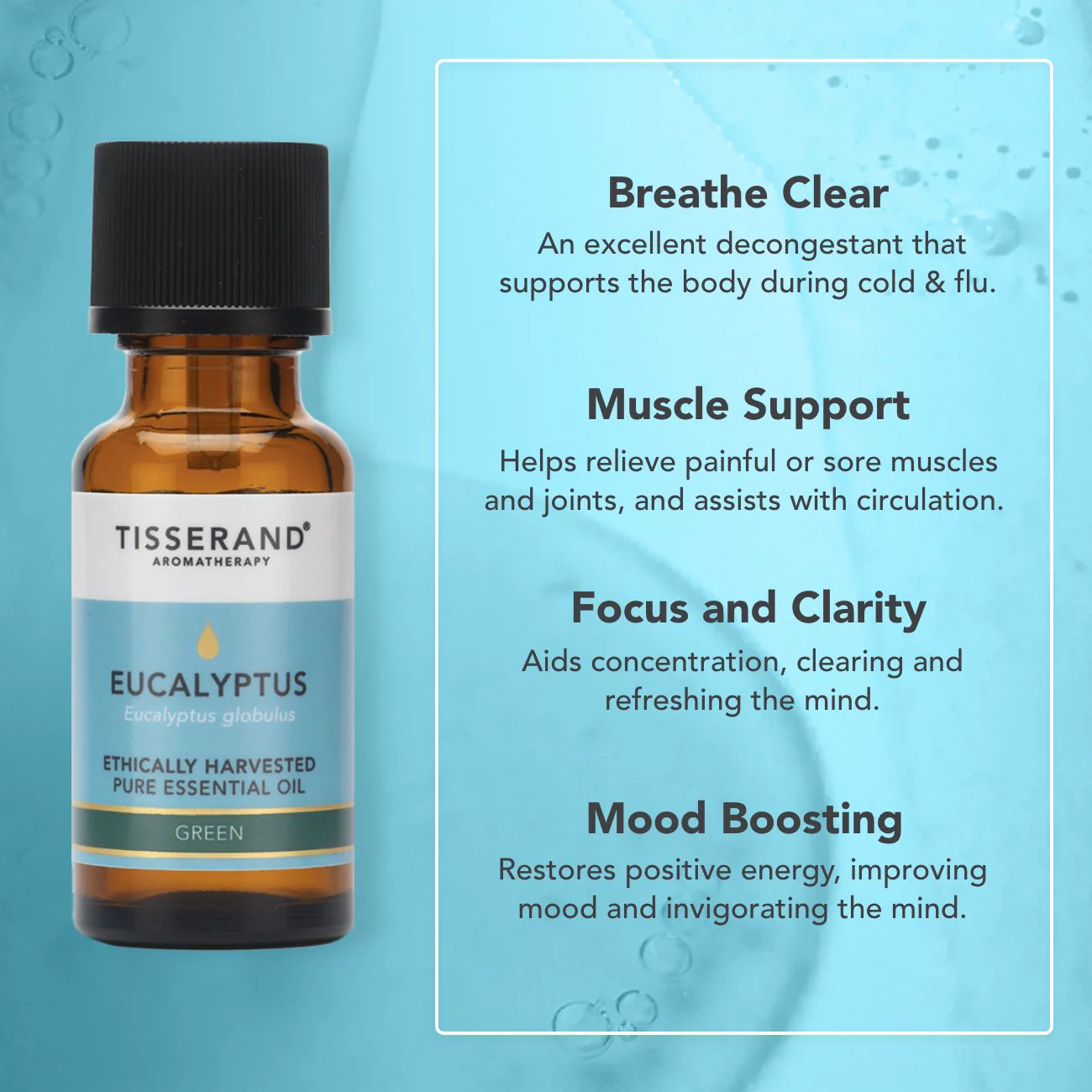 Eucalyptus Ethically Harvested Essential Oil - Image 10