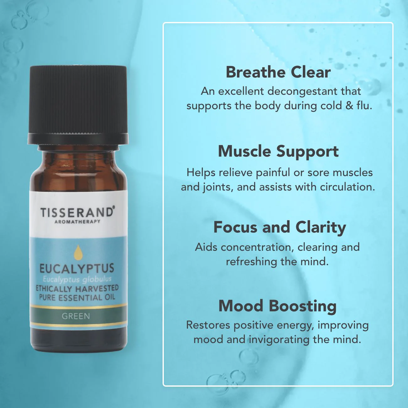 Eucalyptus Ethically Harvested Essential Oil - Image 3