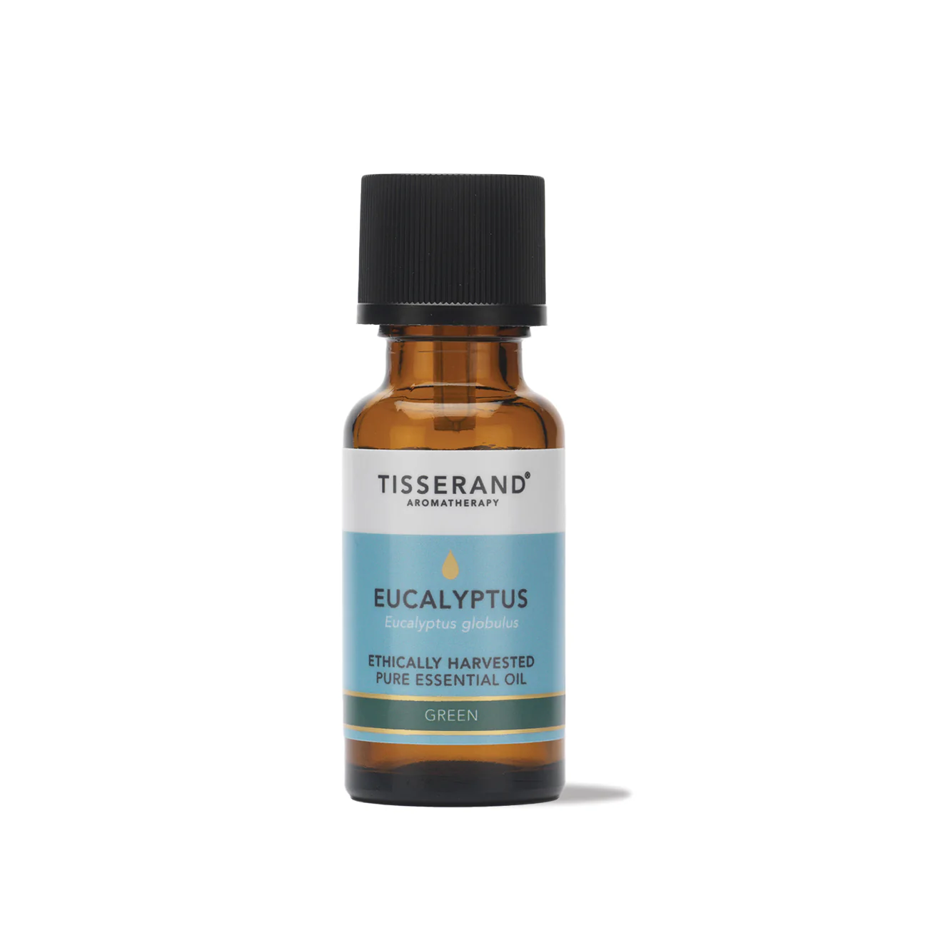 Eucalyptus Ethically Harvested Essential Oil - Image 8