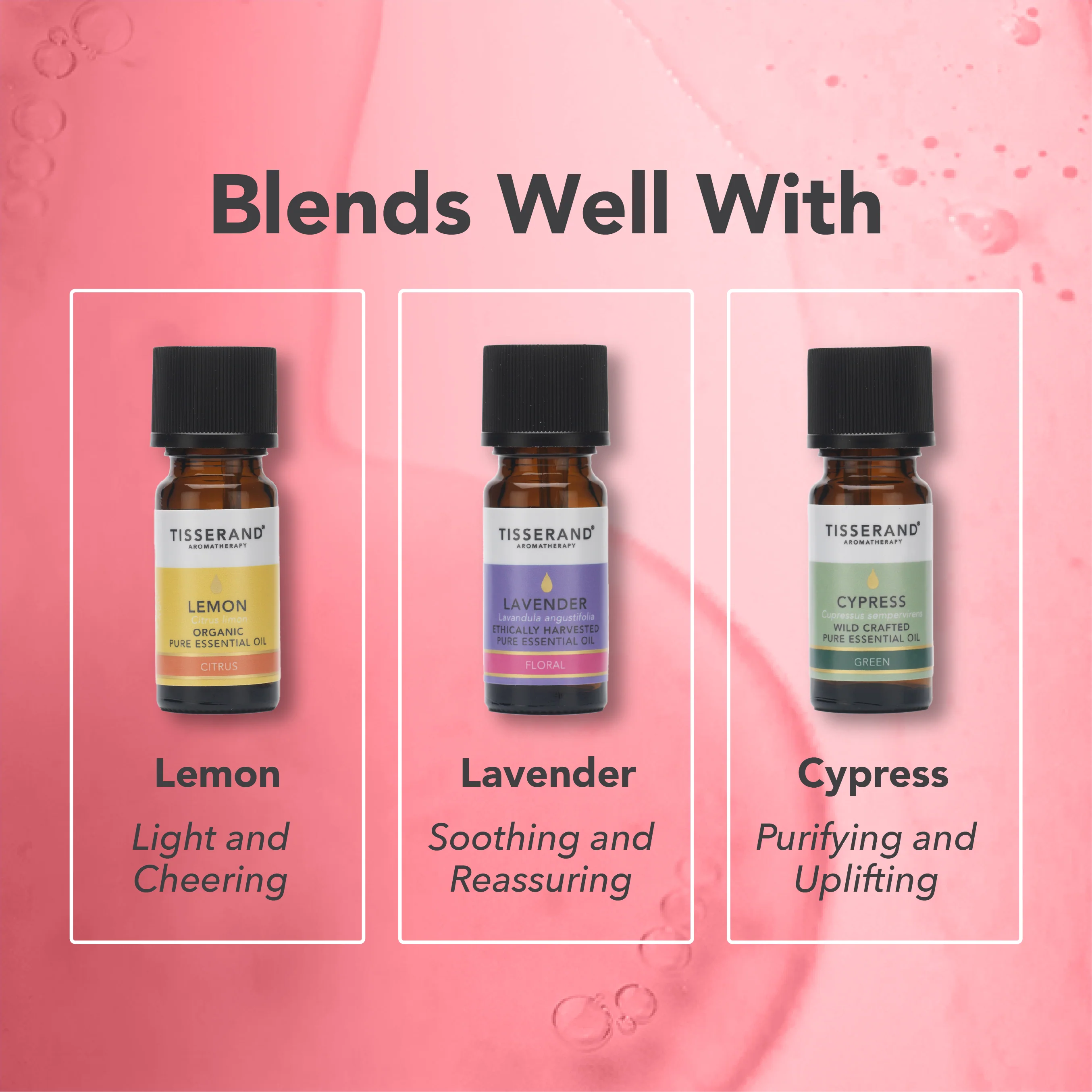 Geranium Essential Oil - Image 4