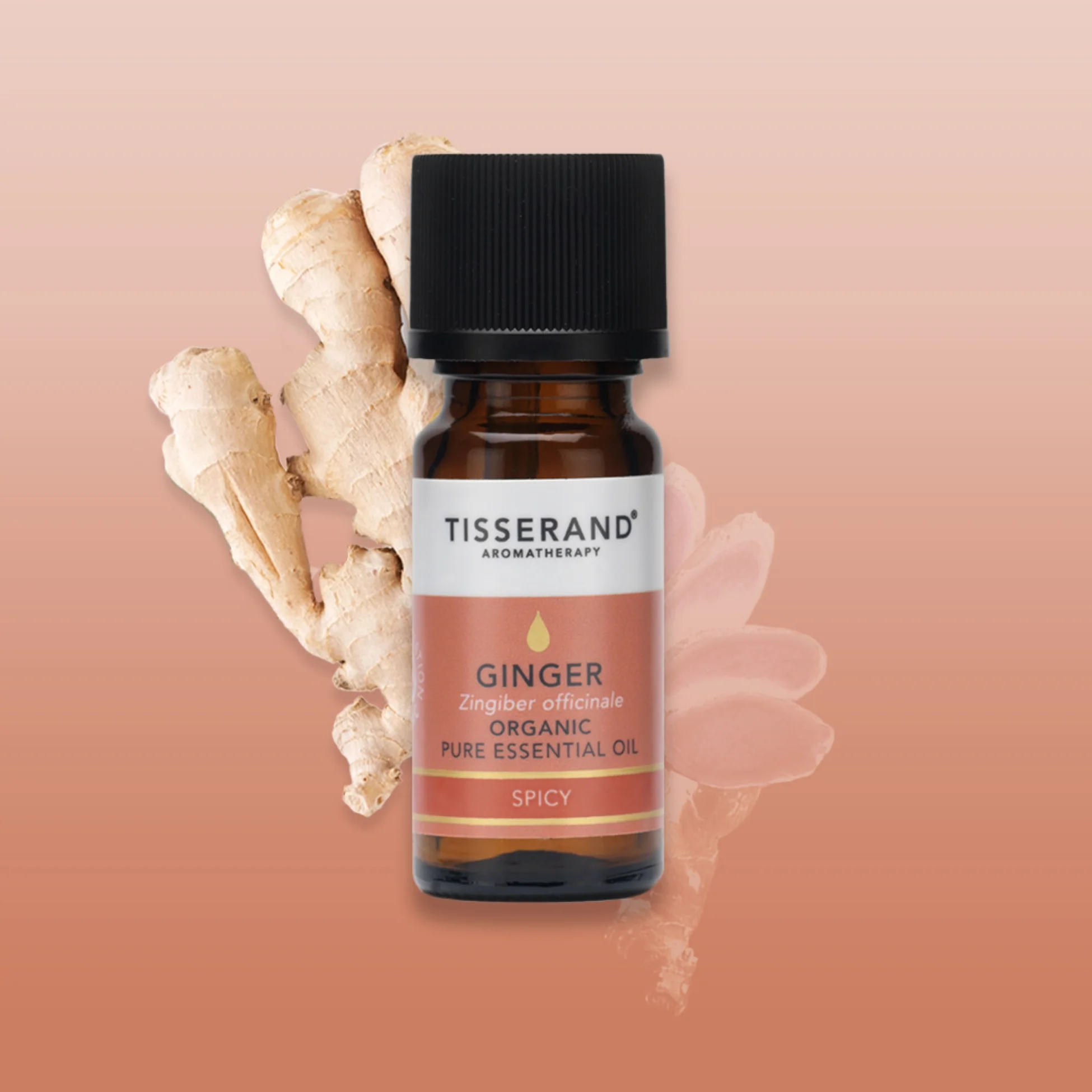 Ginger Essential Oil - Image 2