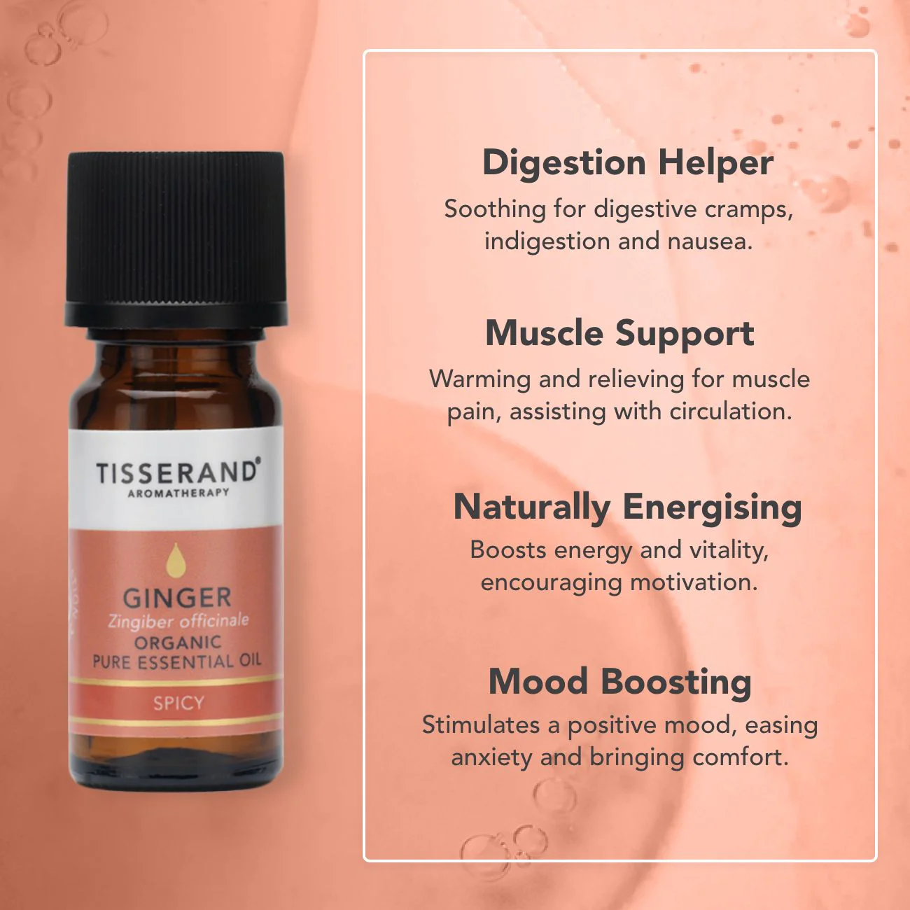 Ginger Essential Oil - Image 3