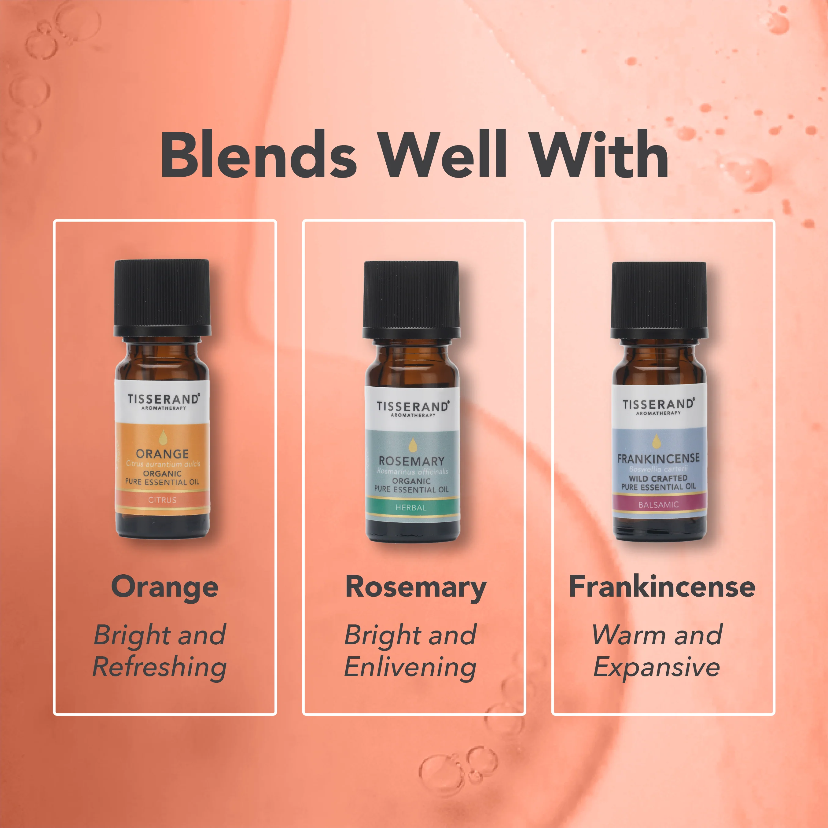 Ginger Essential Oil - Image 4