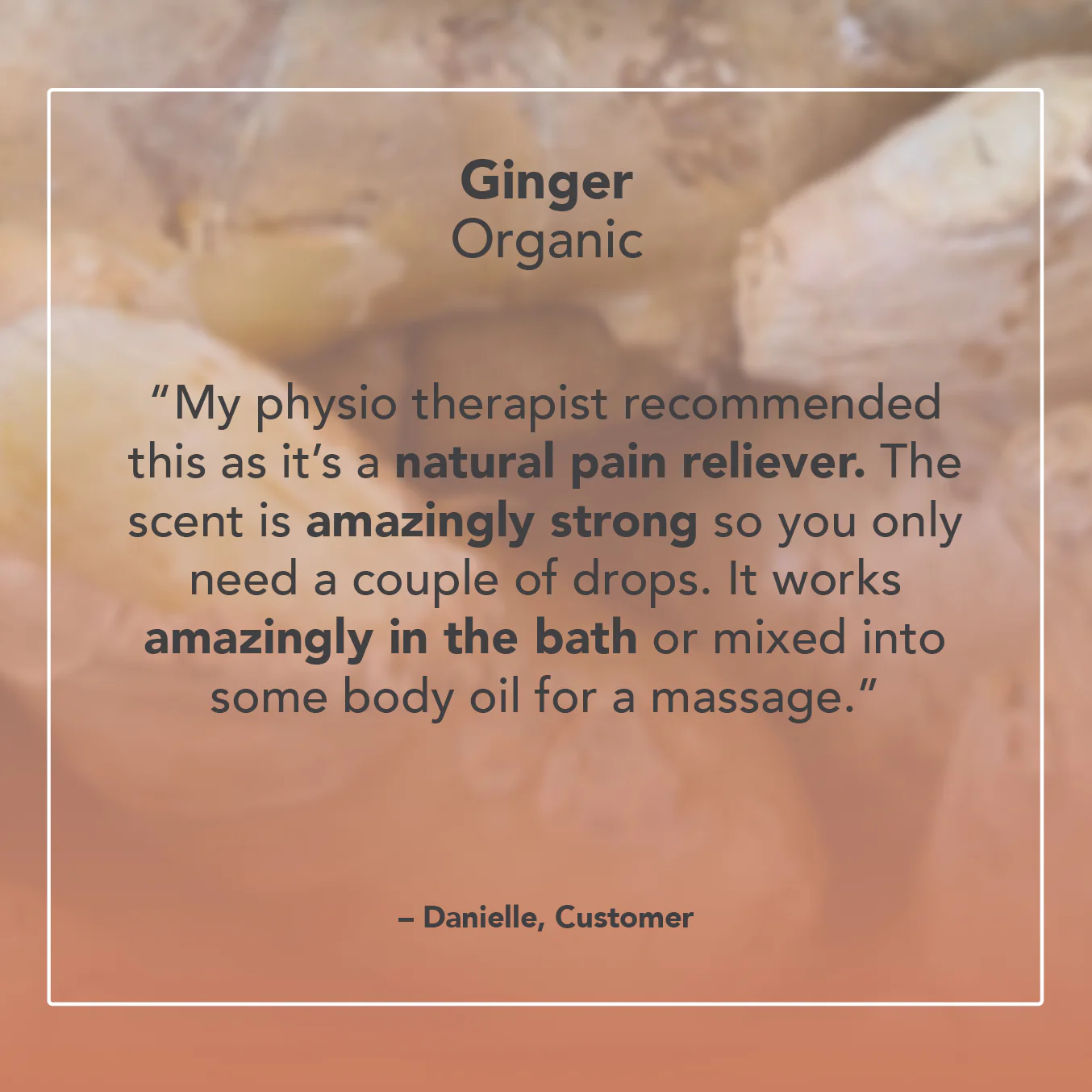 Ginger Essential Oil - Image 5