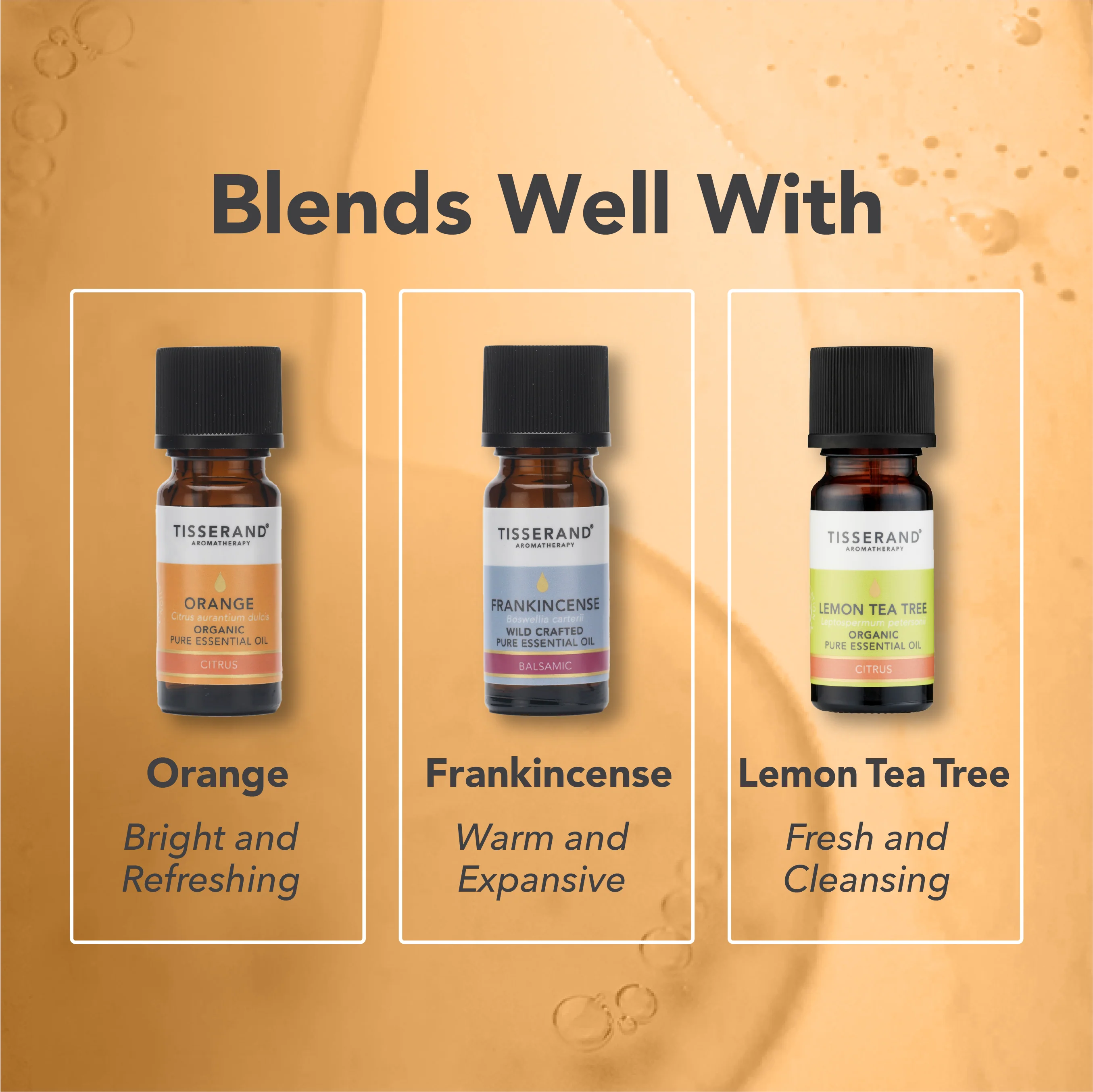Grapefruit Essential Oil - Image 4