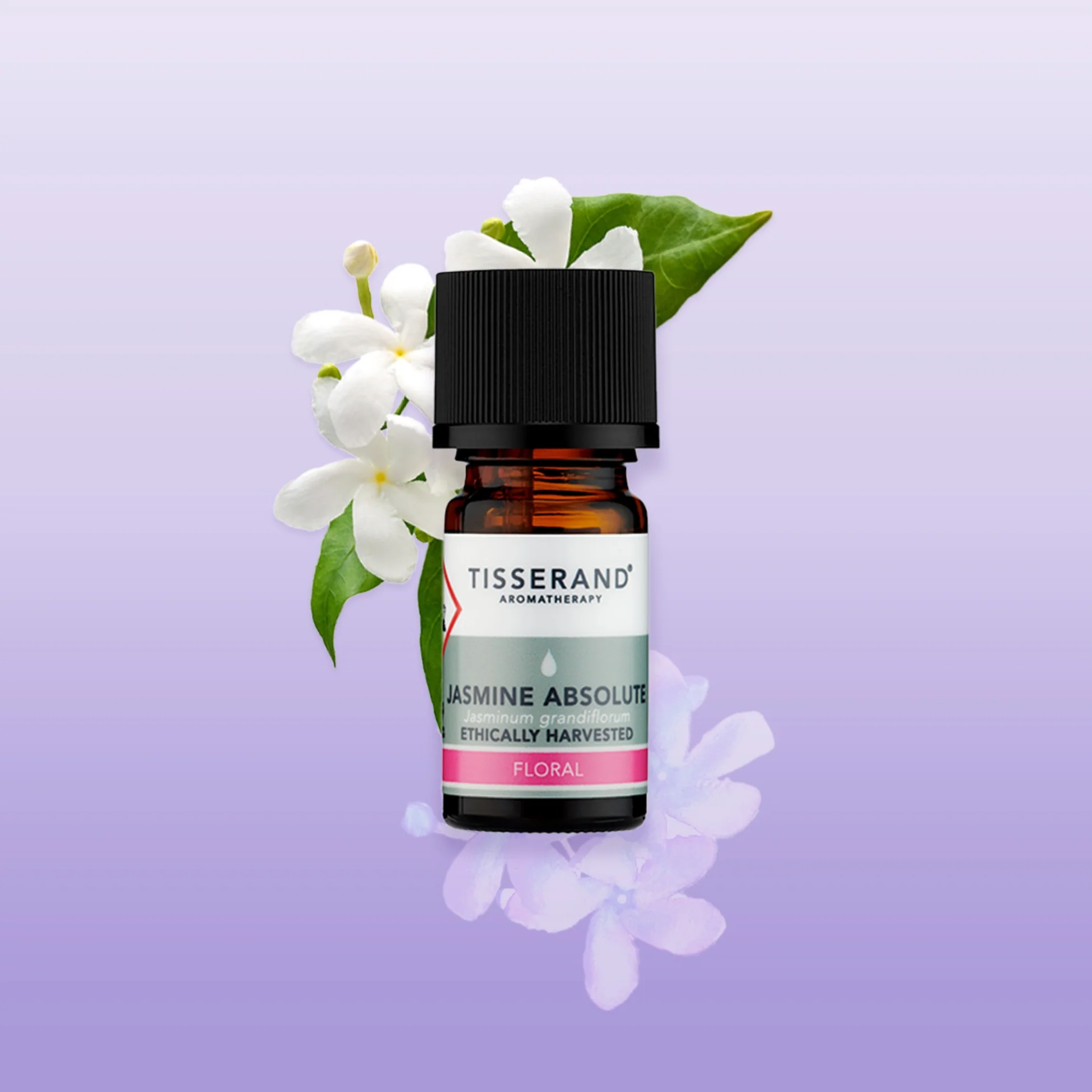 Jasmine Absolute Oil - Image 2