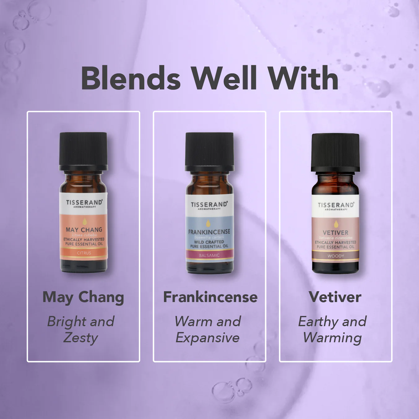 Jasmine Absolute Oil - Image 4