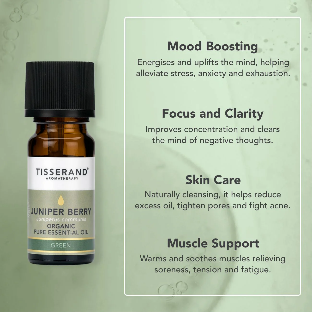 Juniper Berry Essential Oil - Image 3