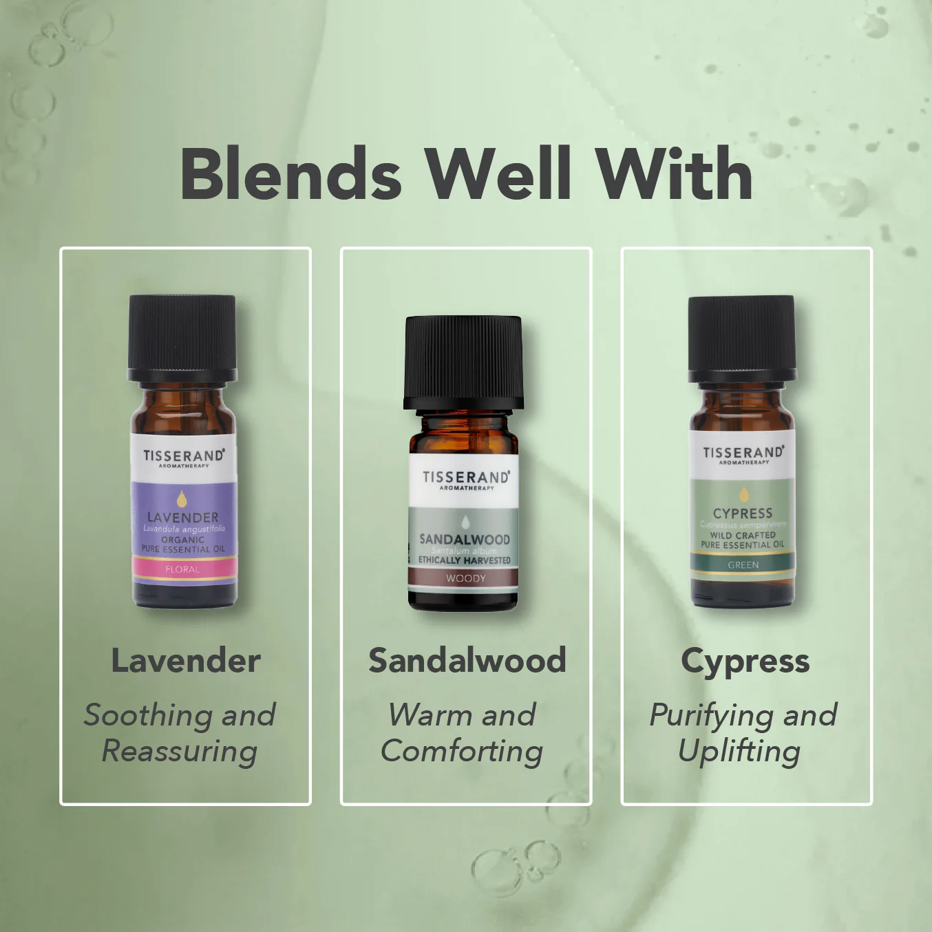 Juniper Berry Essential Oil - Image 4