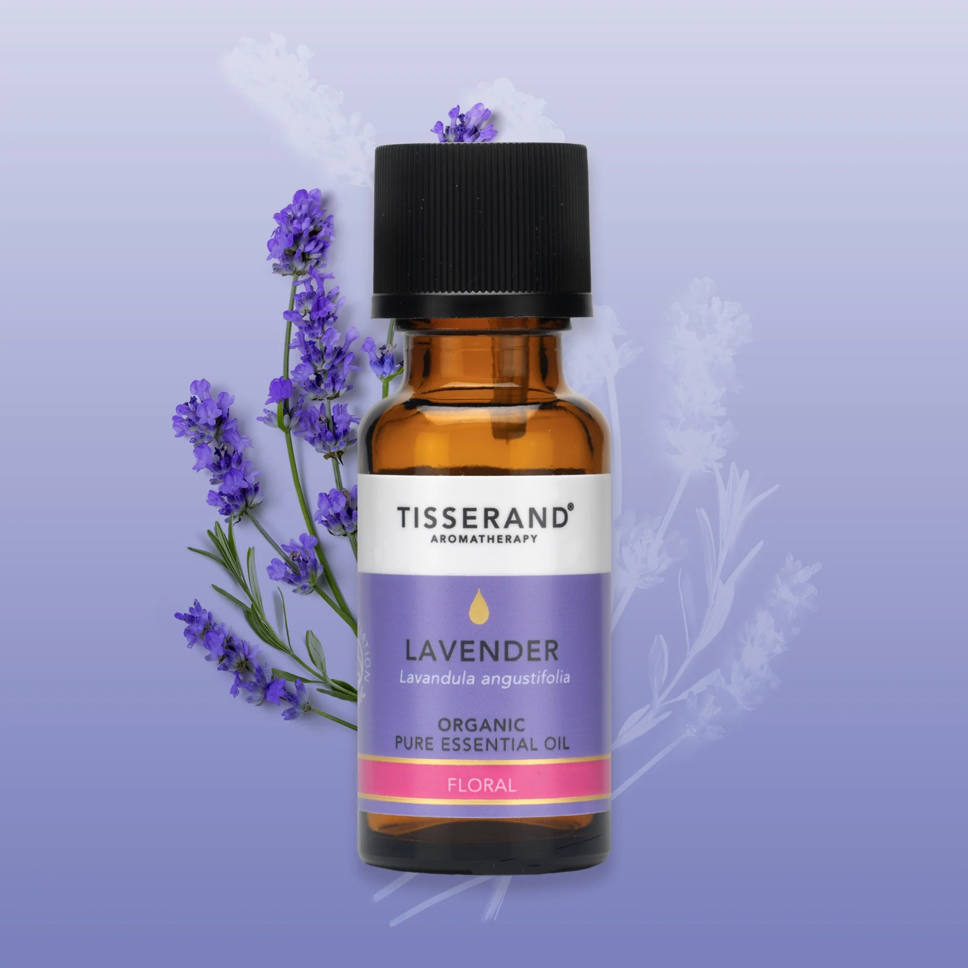 Lavender Organic Essential Oil - Image 11