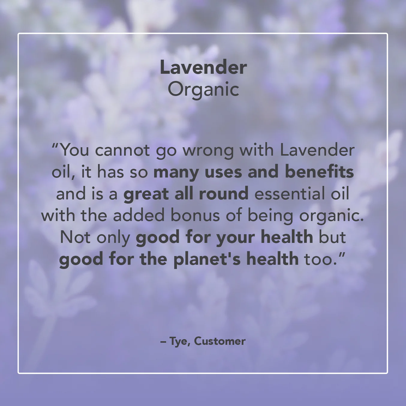 Lavender Organic Essential Oil - Image 6