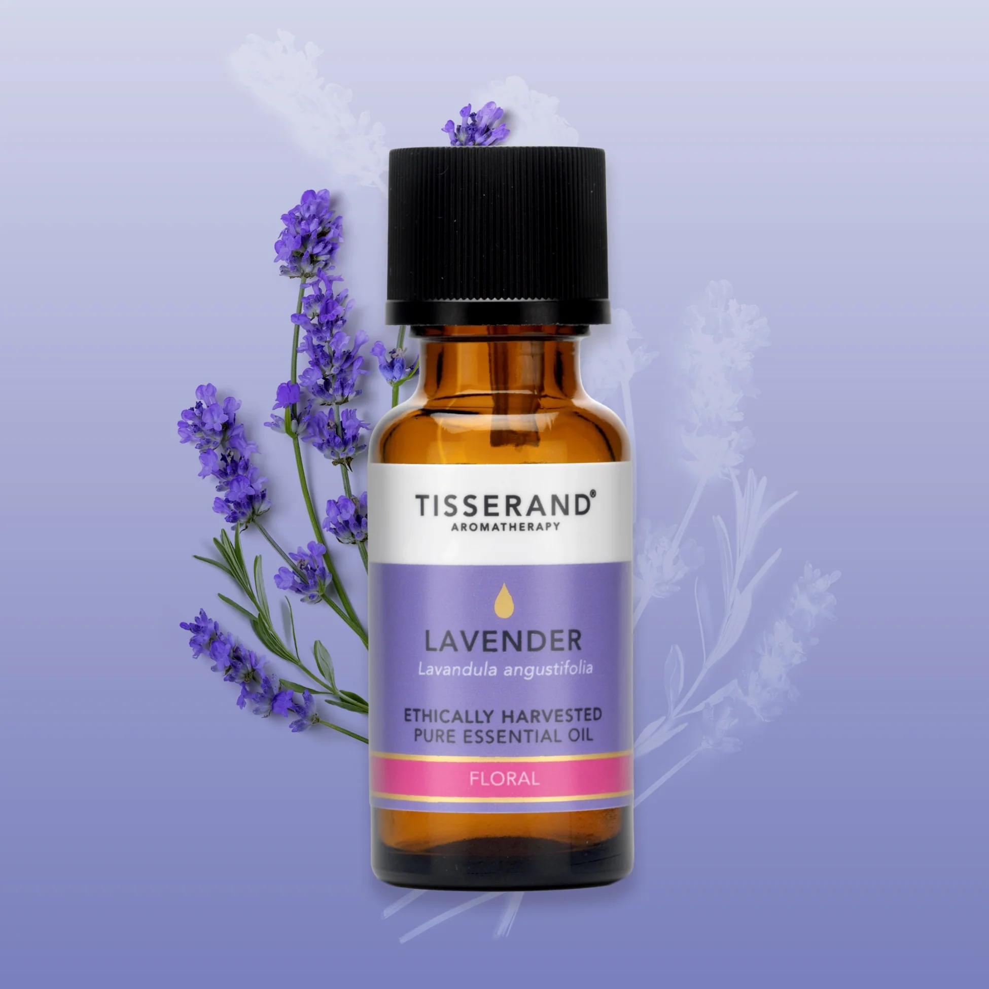 Lavender Ethically Harvested - Image 10