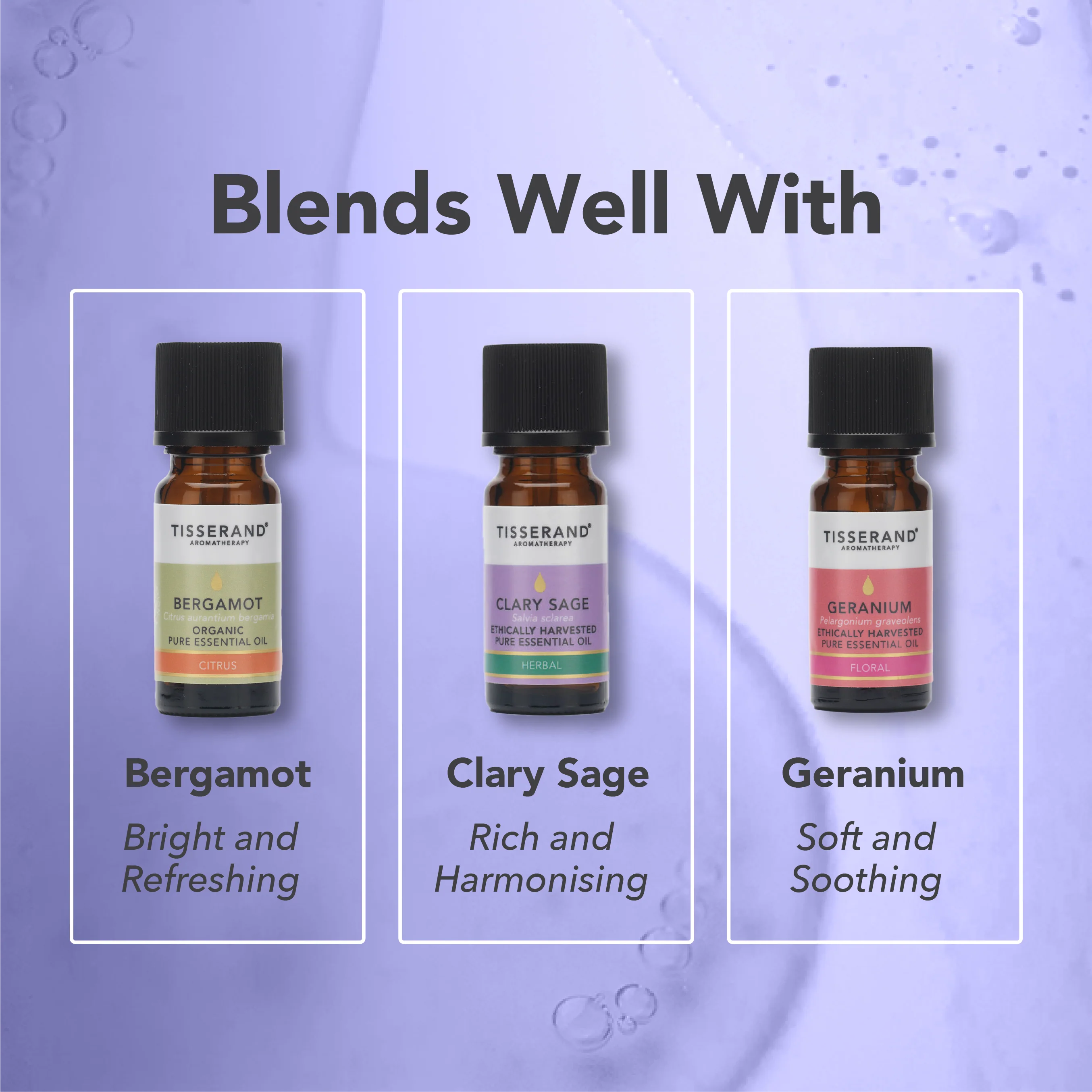 Lavender Organic Essential Oil - Image 4