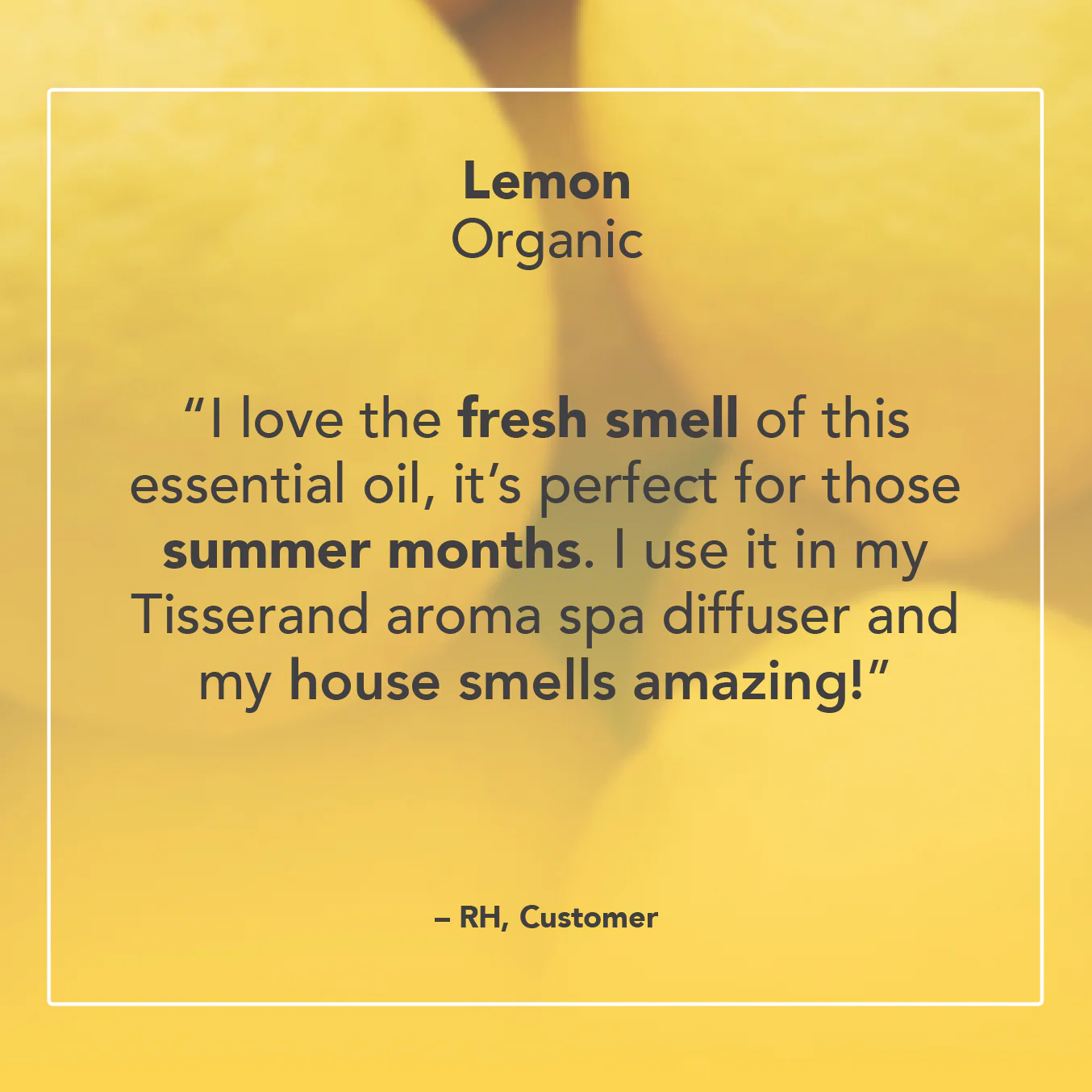 Lemon Organic Essential Oil - Image 5