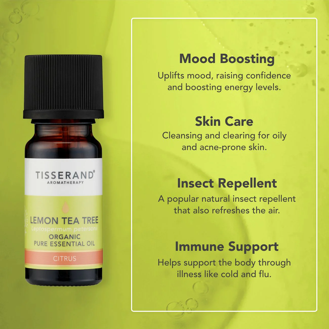 Lemon Tea Tree Essential Oil - Image 3