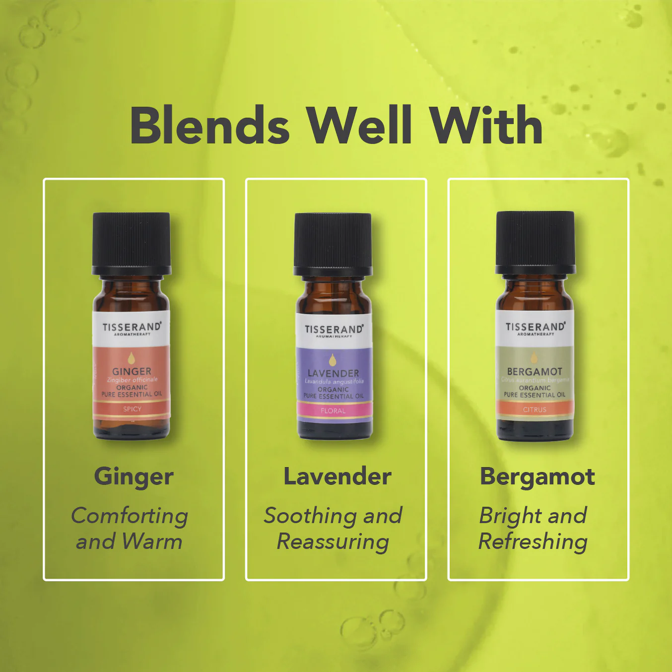 Lemon Tea Tree Essential Oil - Image 4