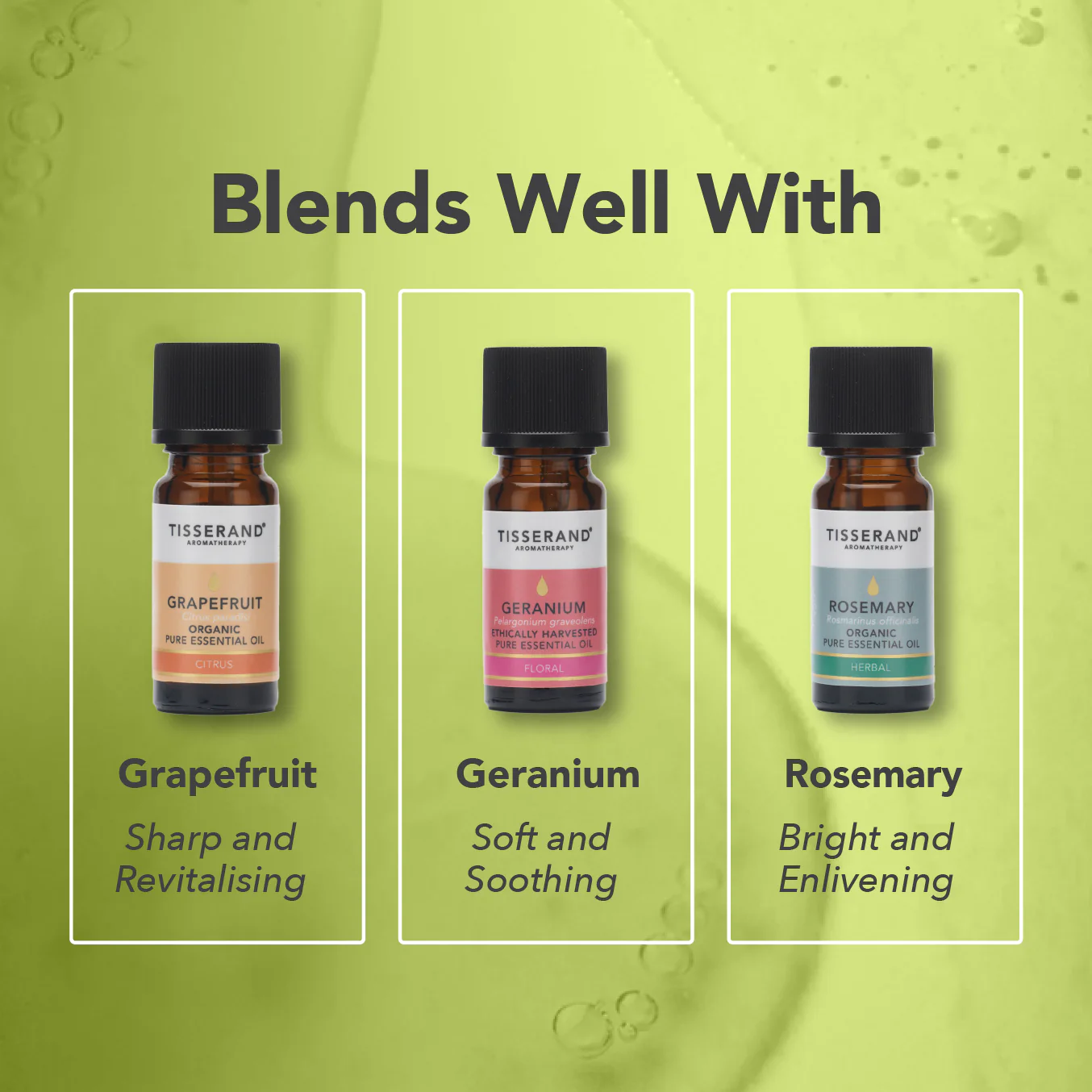 Lemongrass Essential Oil - Image 4