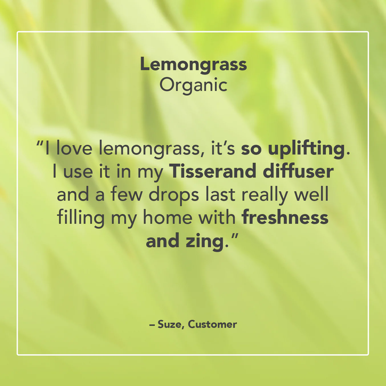 Lemongrass Essential Oil - Image 5