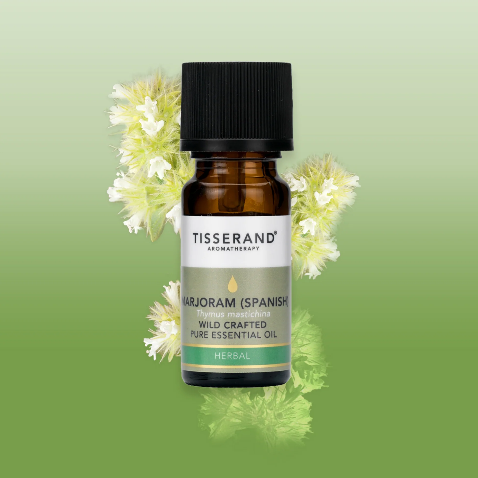 Marjoram Spanish Essential Oil - Image 2
